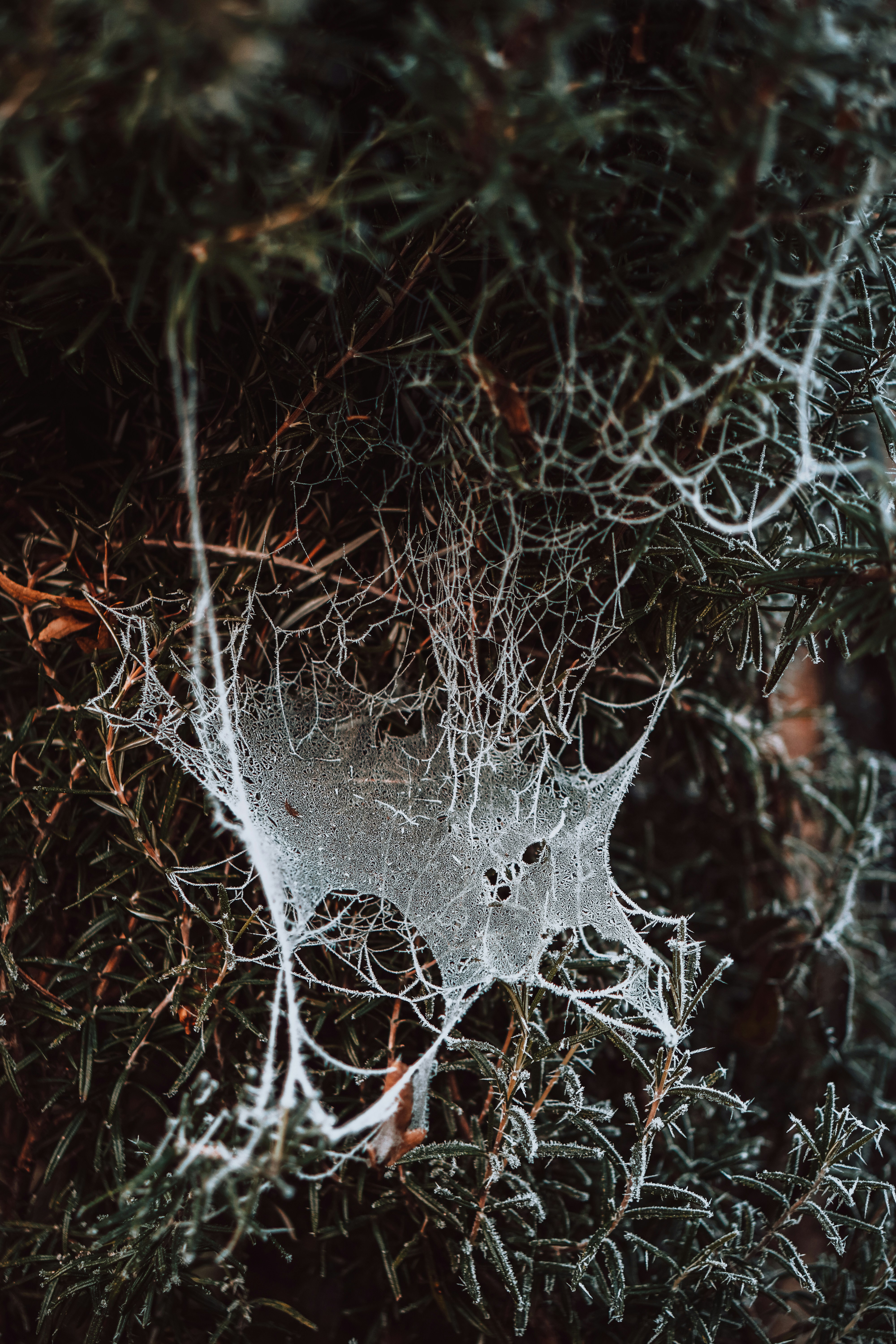 The Underground Internet That Puts Our WiFi to Shame (image credits: unsplash)