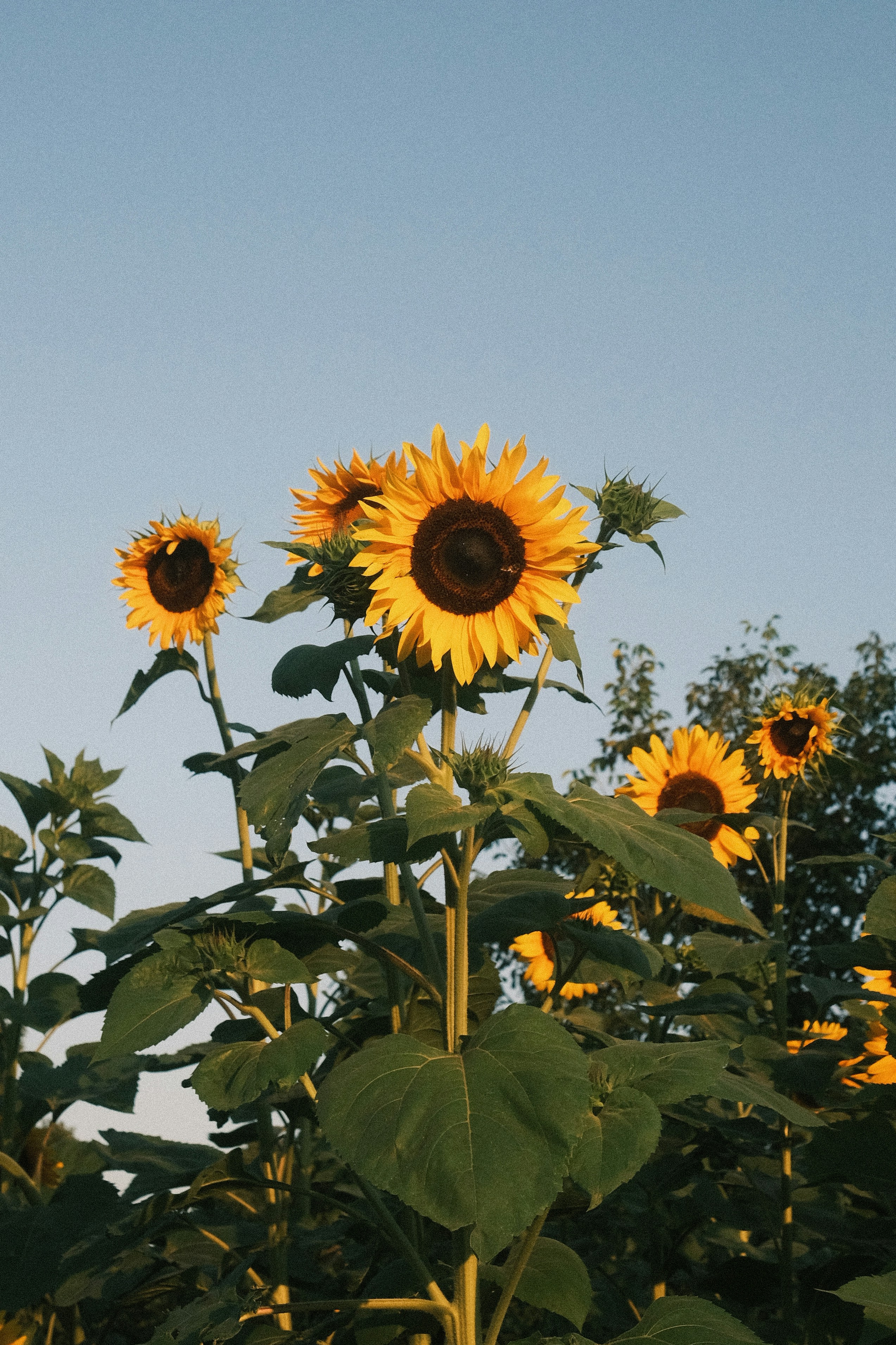 Photo by visualsbying