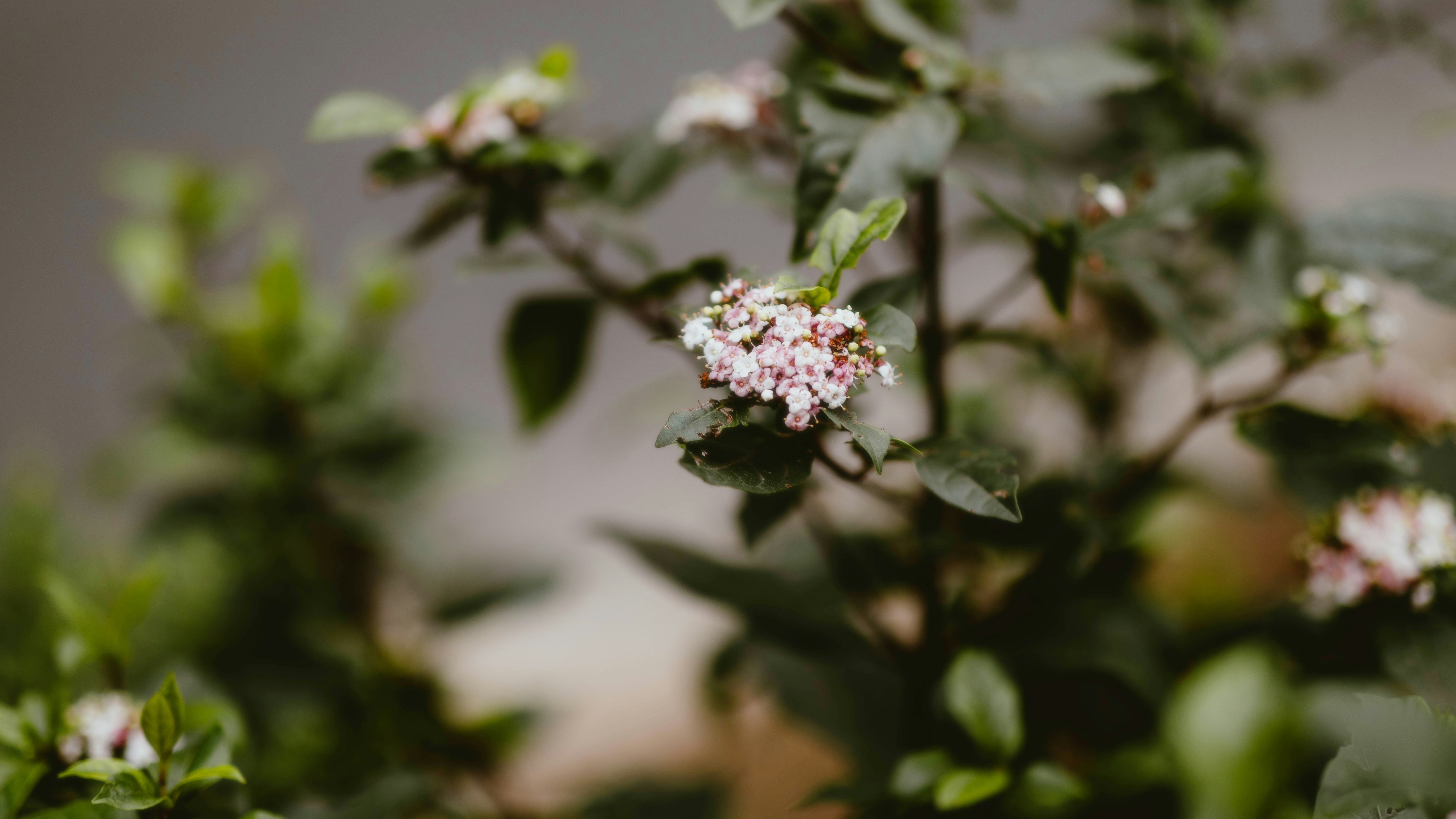 Photo by alingavriliuc