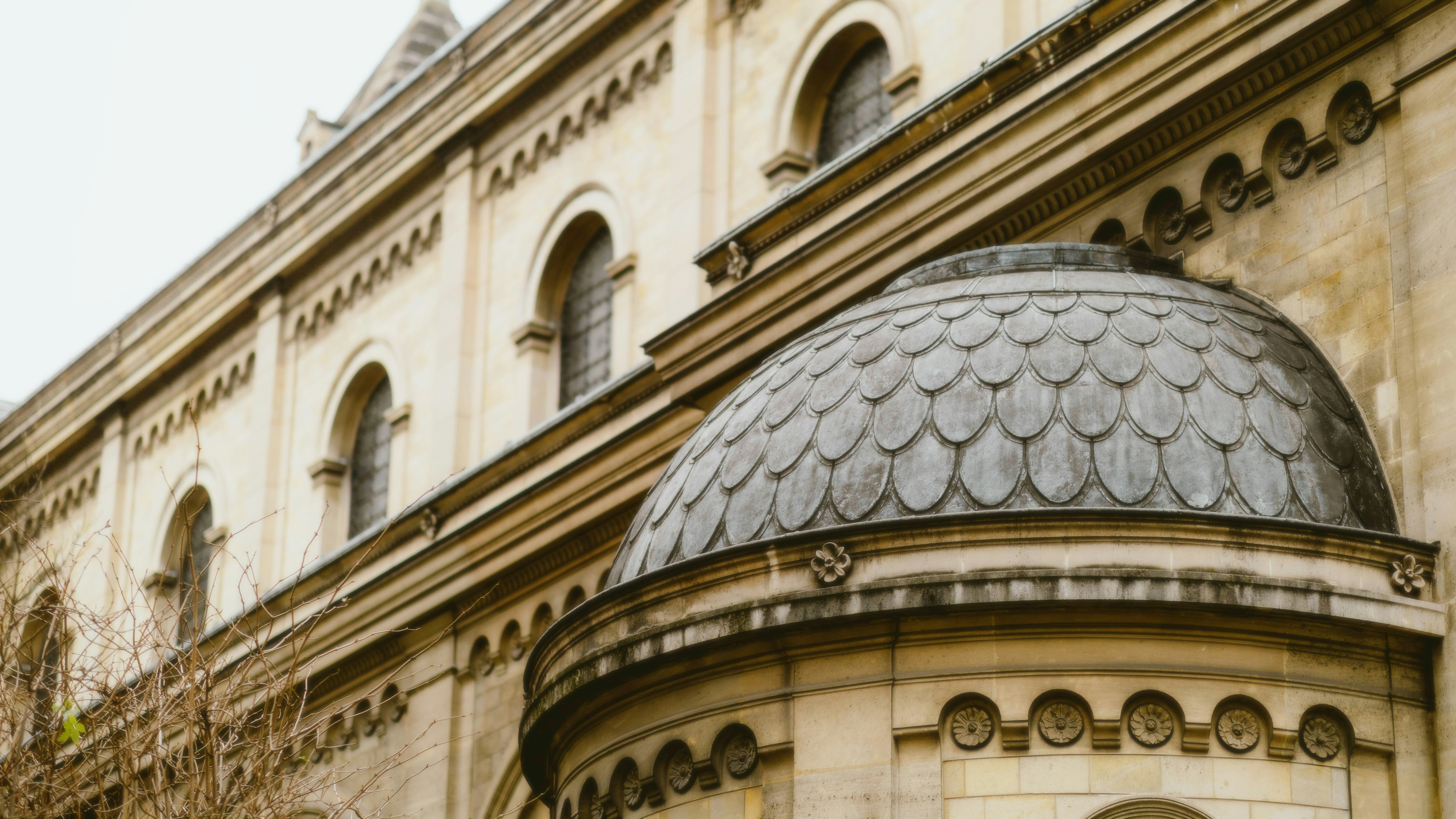 Photo by alingavriliuc