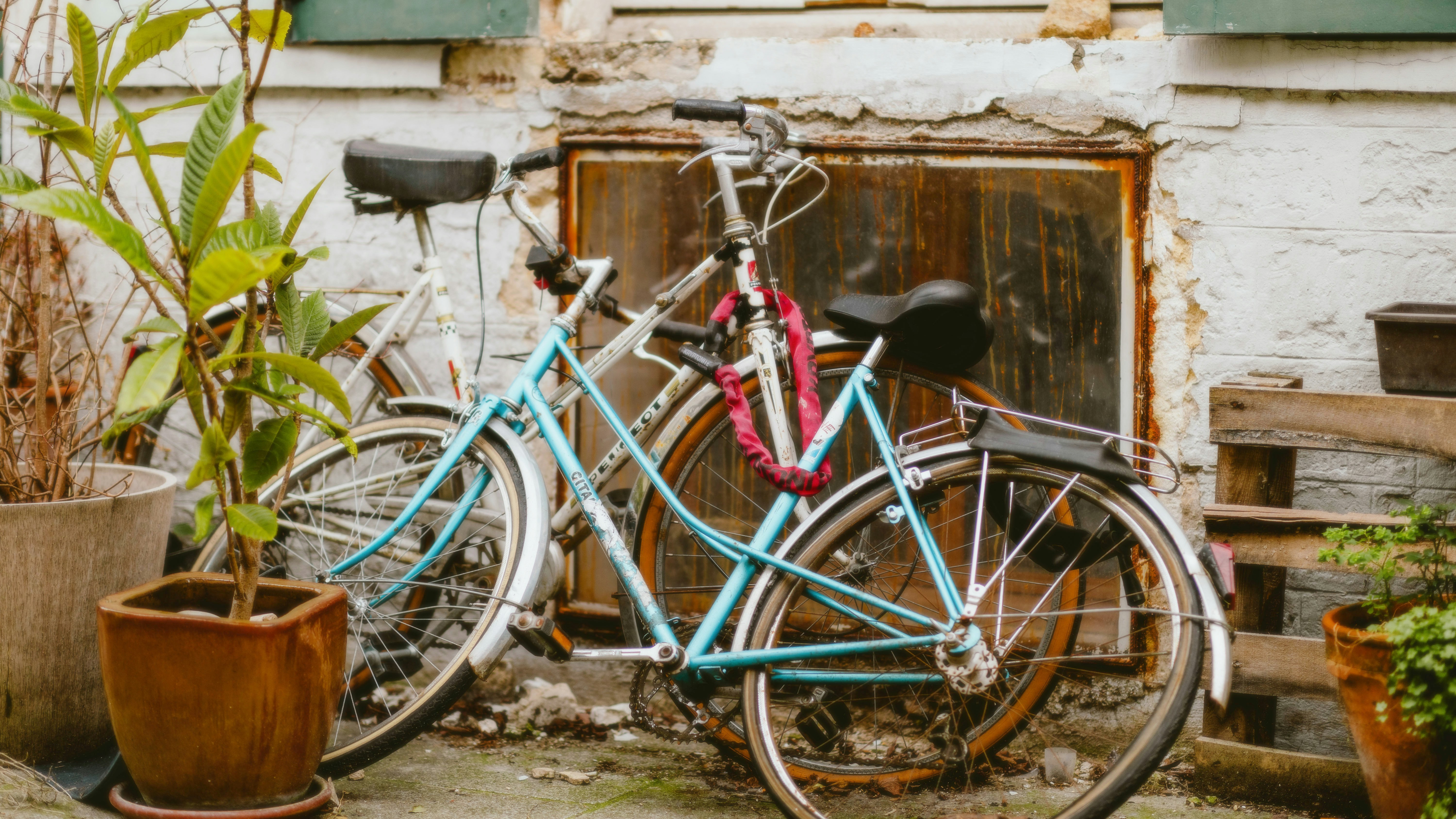 Photo by alingavriliuc