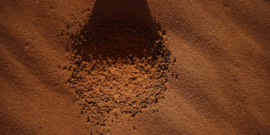 Family Travel Guide to AlUla: 6-Day Classic Itinerary