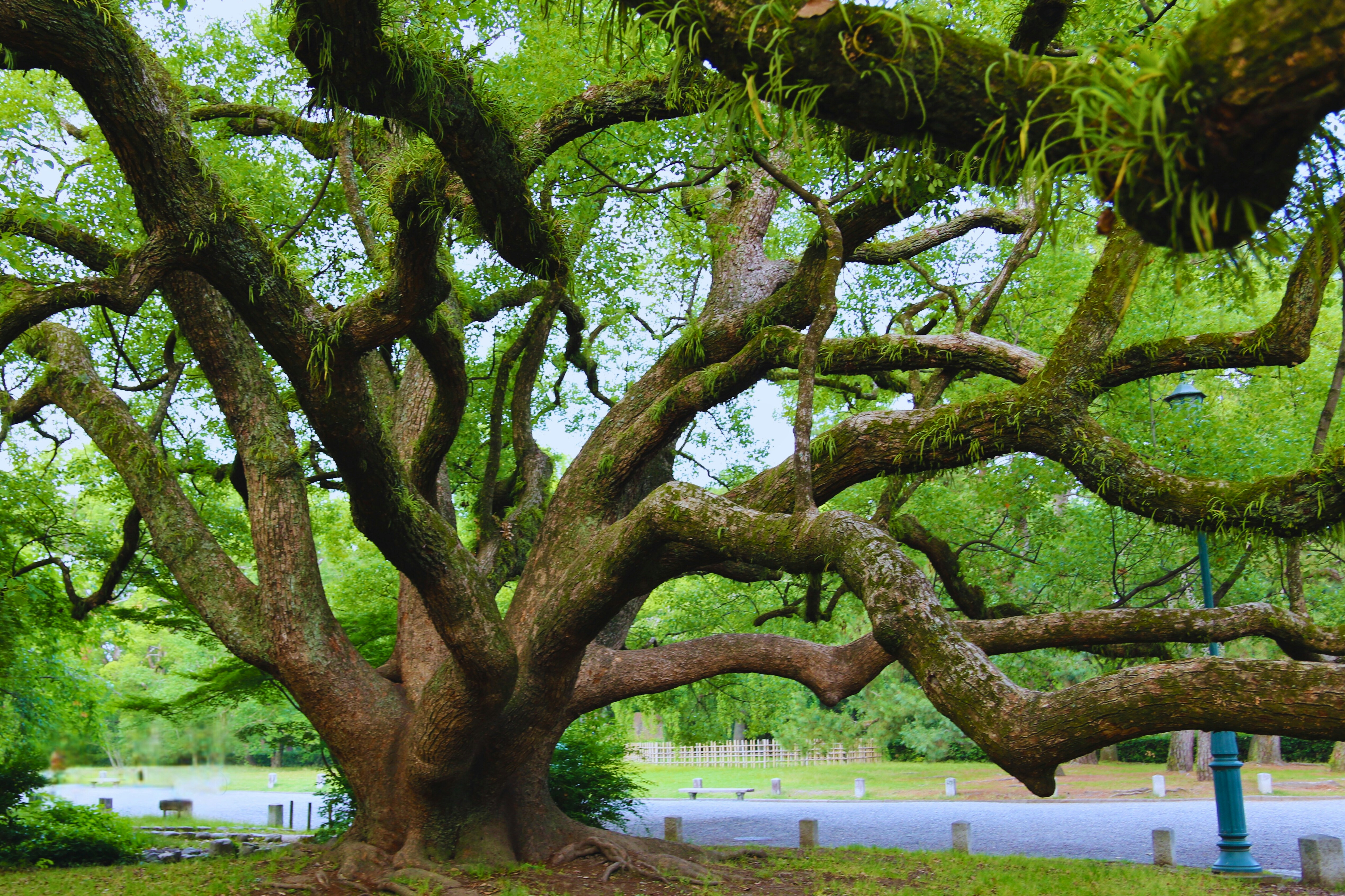 Photo by brunafisantos