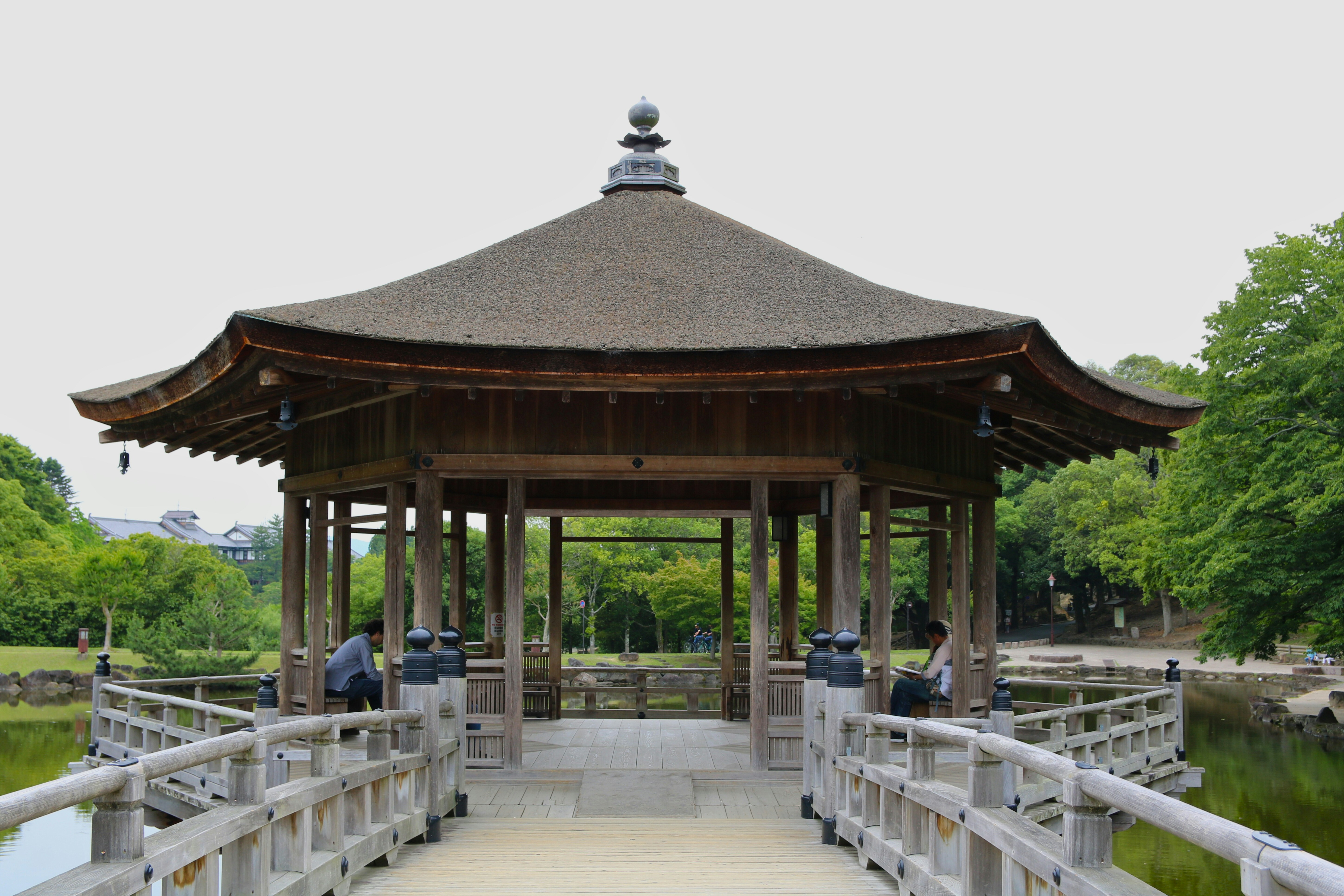 Photo by brunafisantos