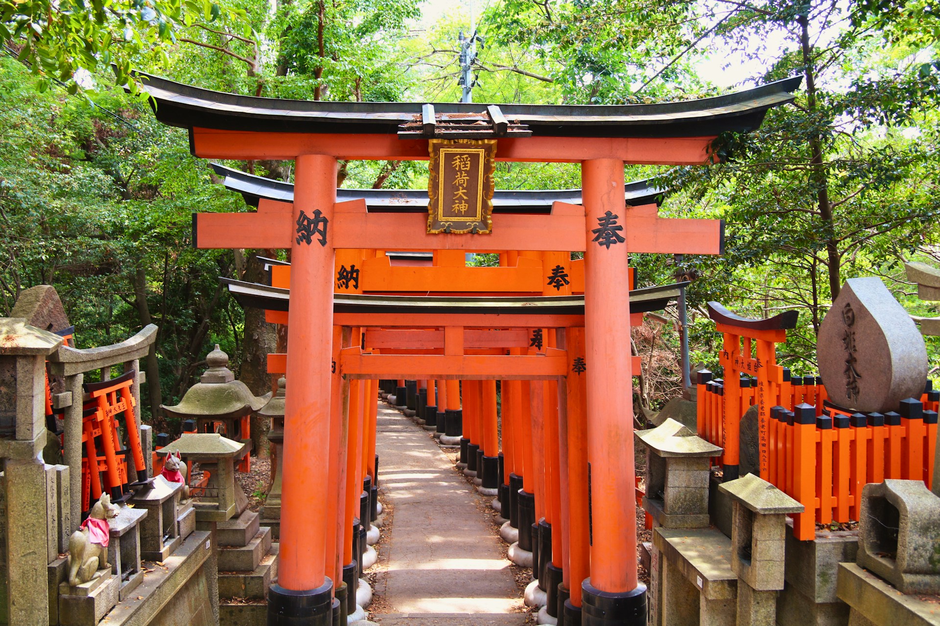 A large orange gate that is next to a forest