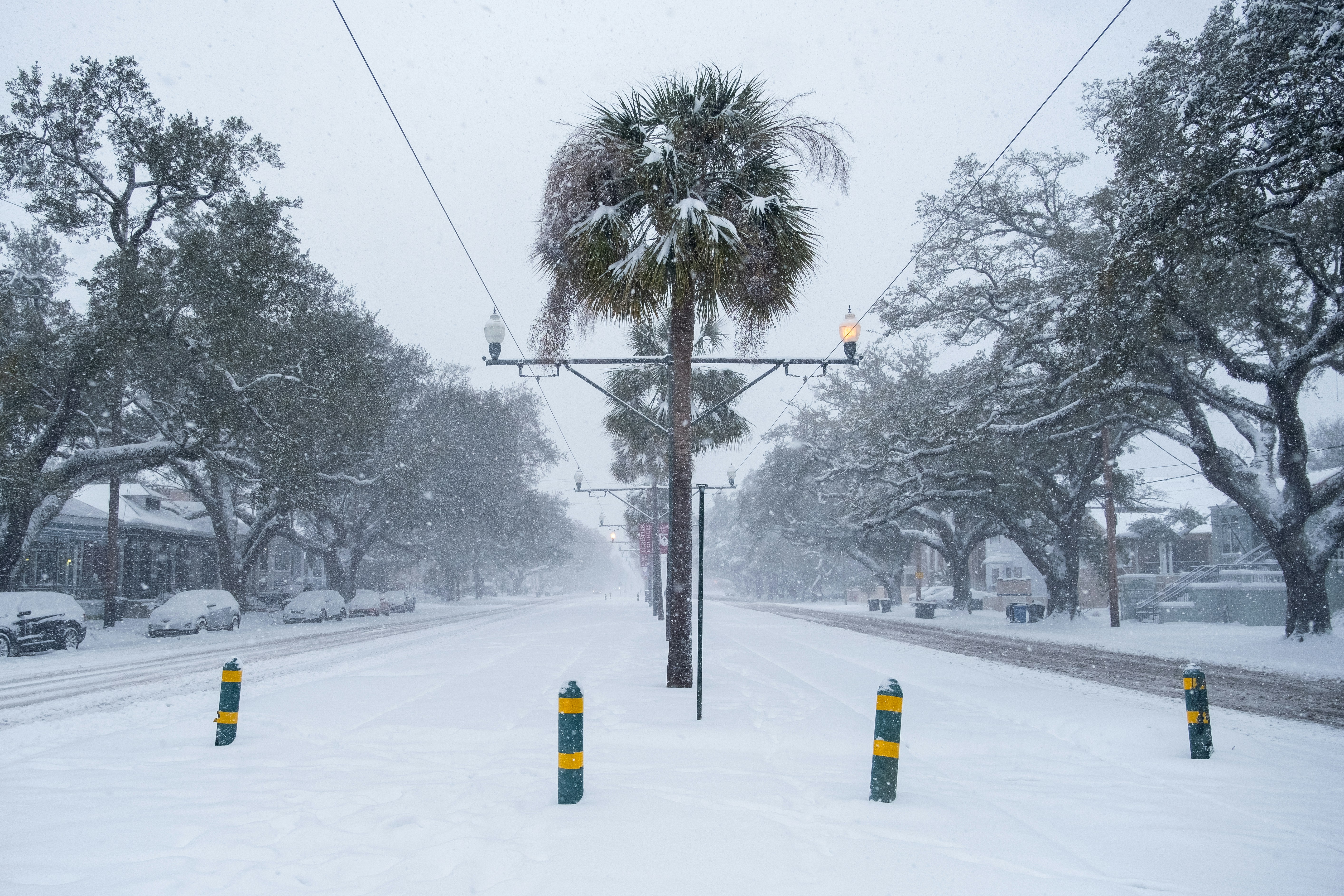 A snow covered street with a palm tree in the middle