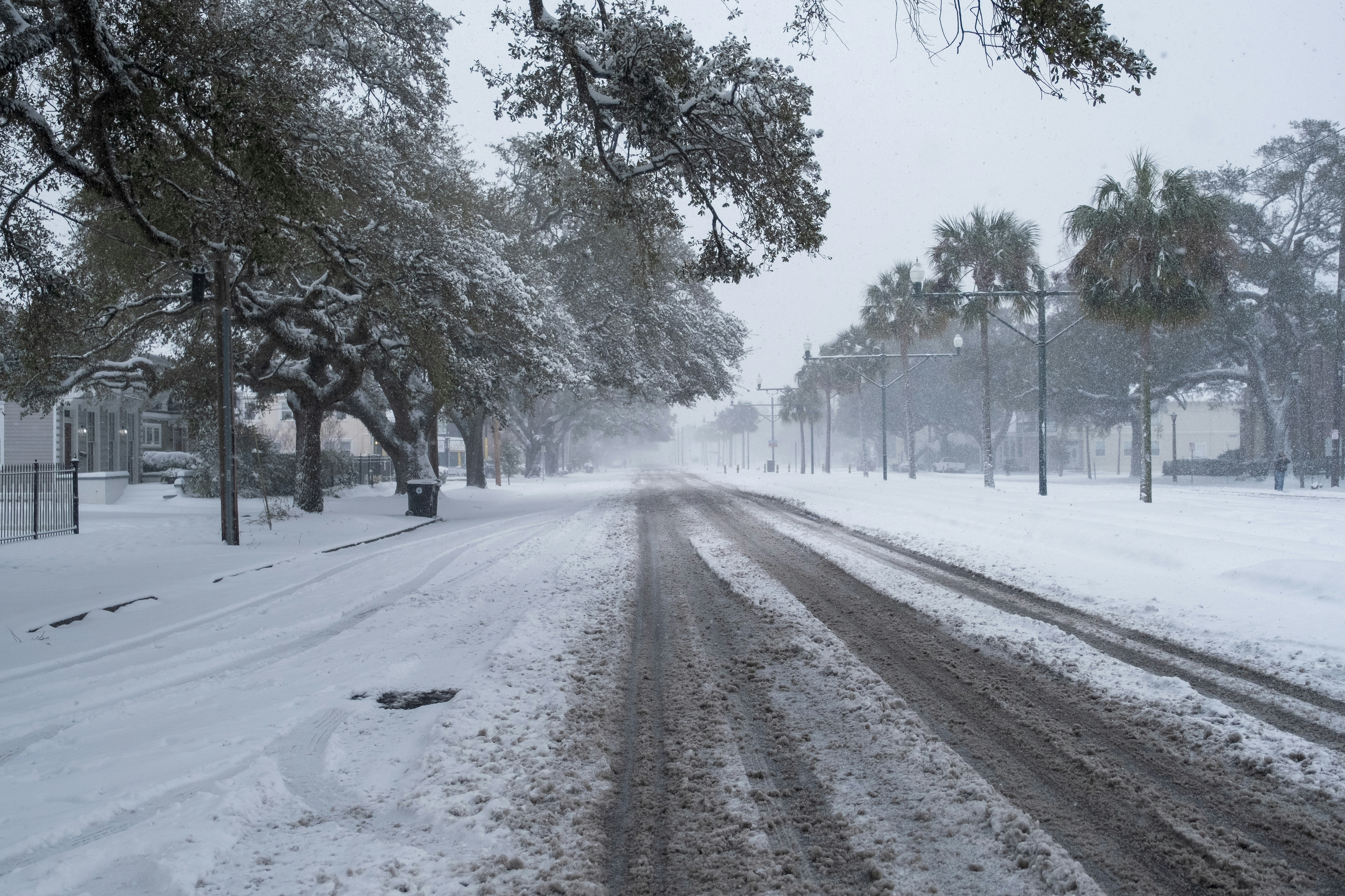 A snow covered road with trees on both sides