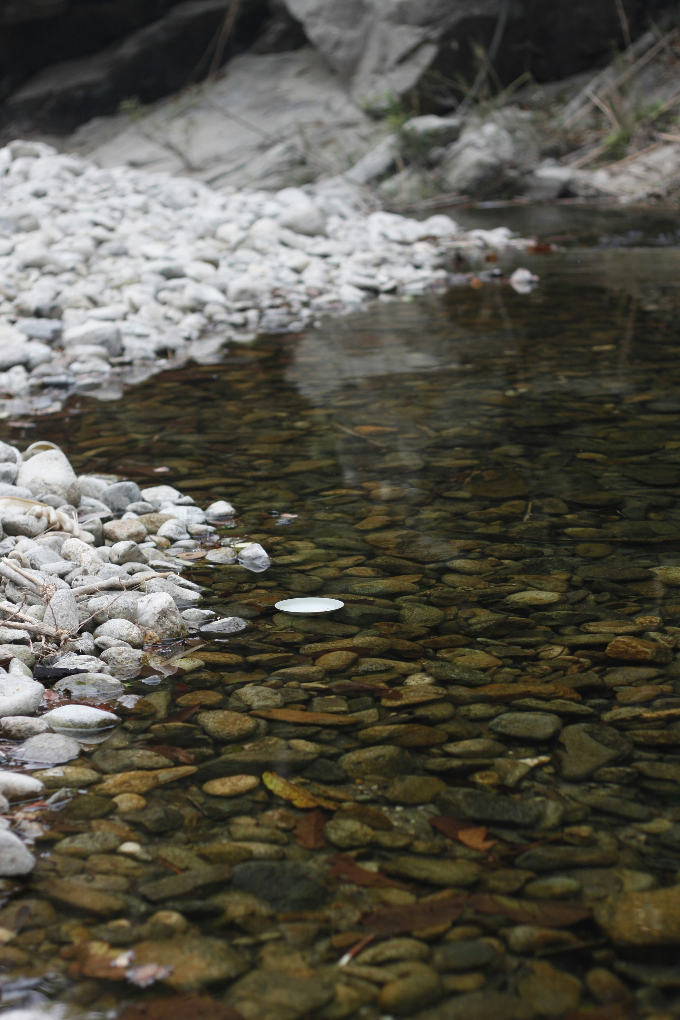 Photo by jtrinh_artwork