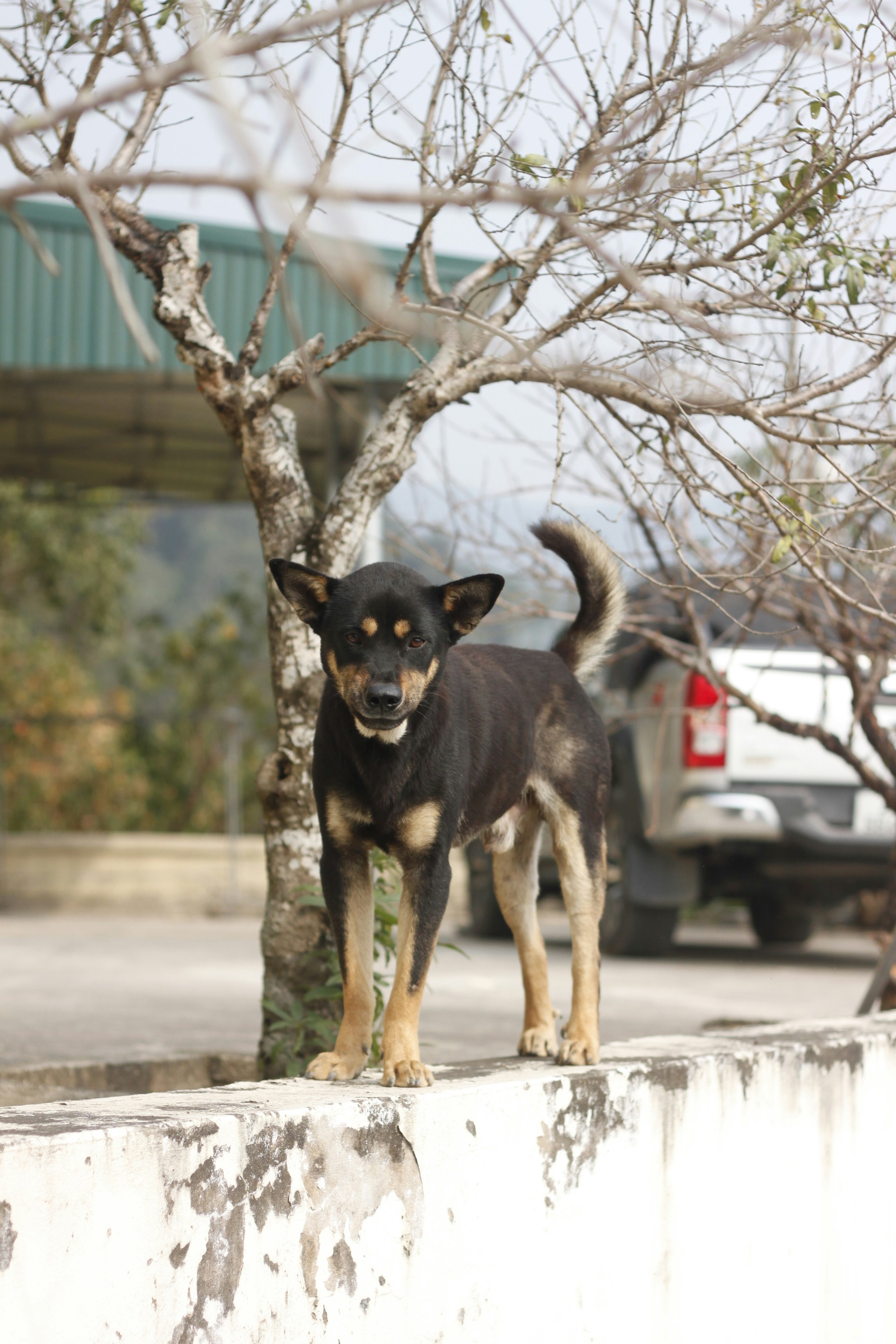 Photo by jtrinh_artwork