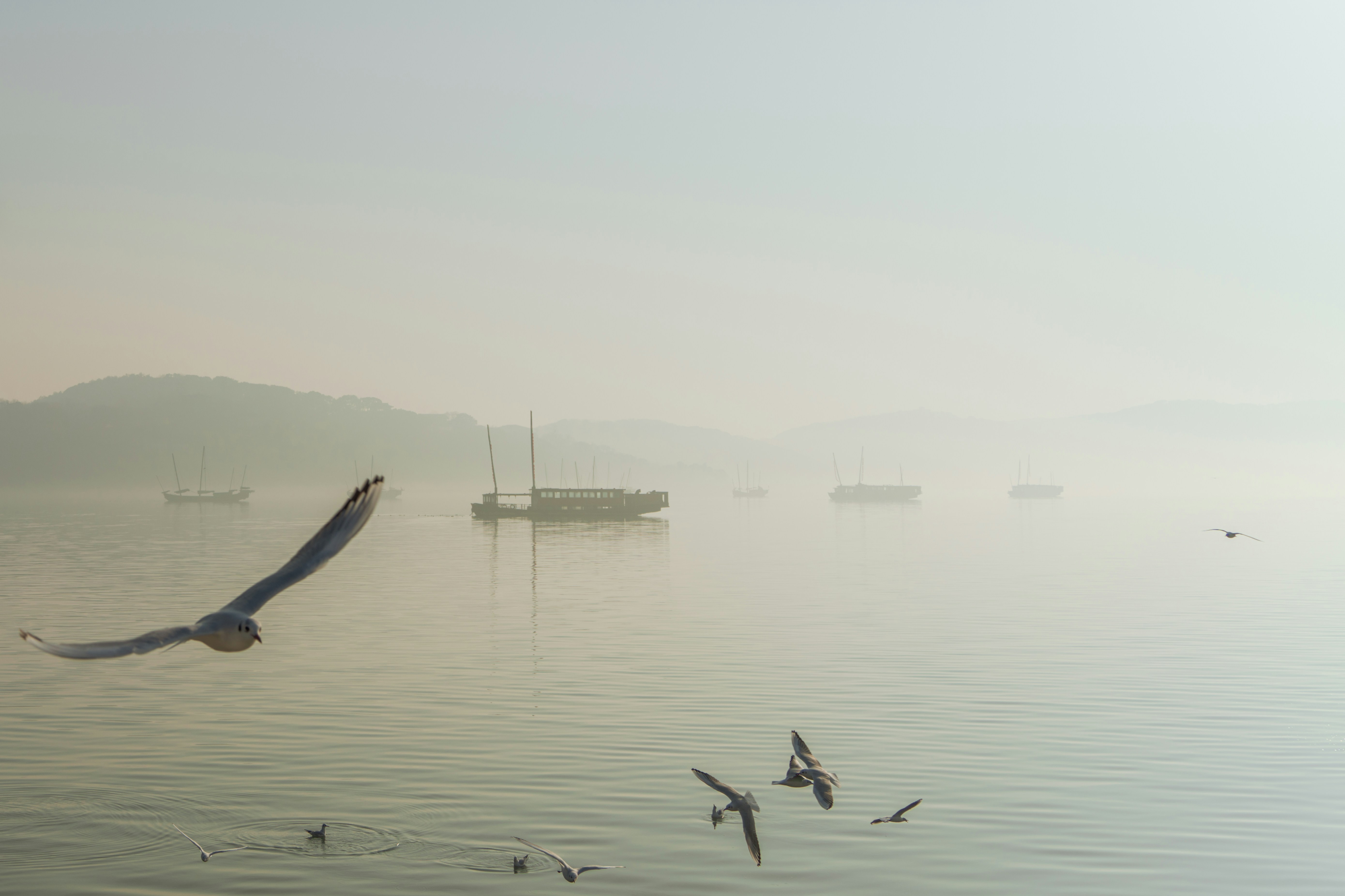 Photo by zhenyao_photo