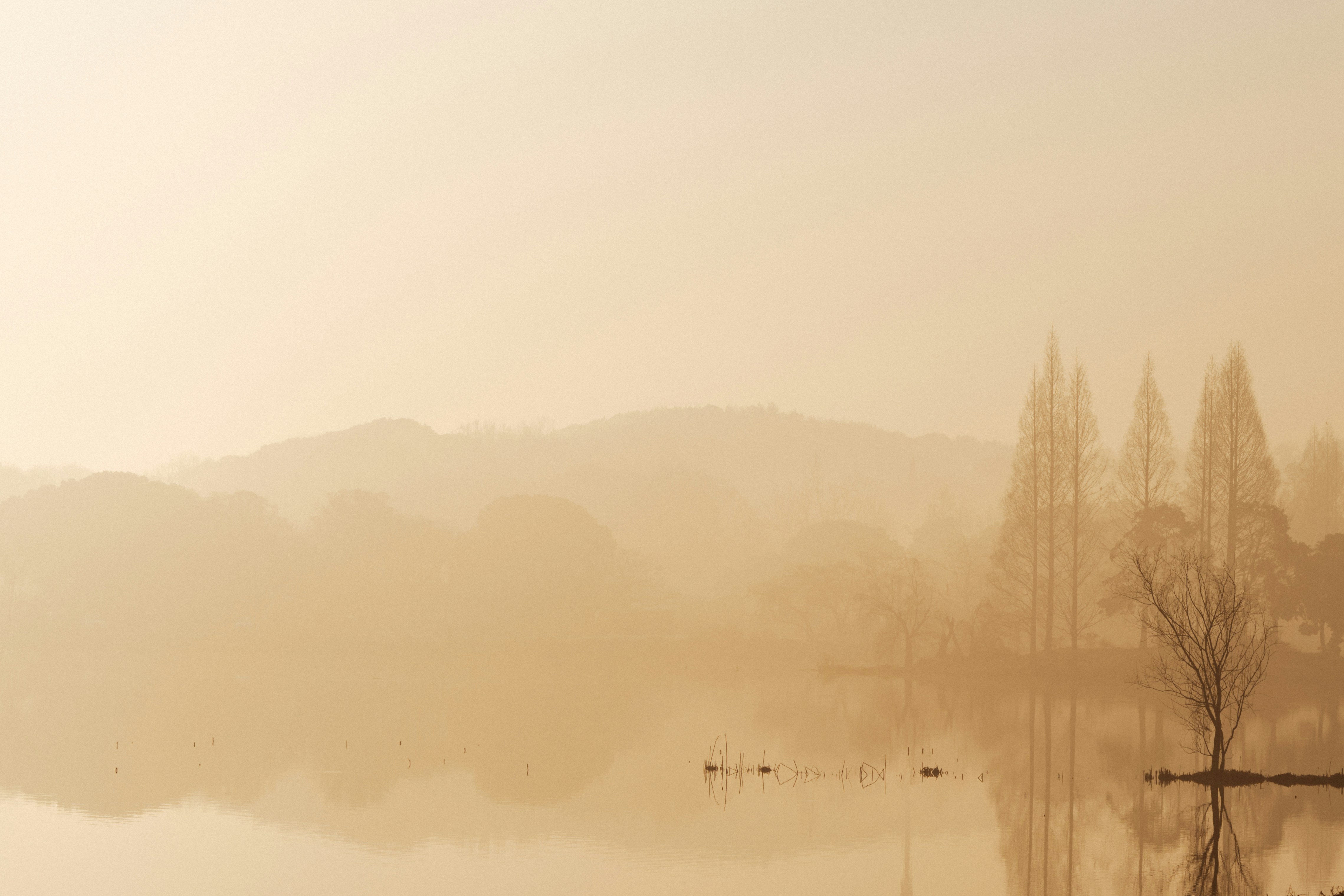 Photo by zhenyao_photo