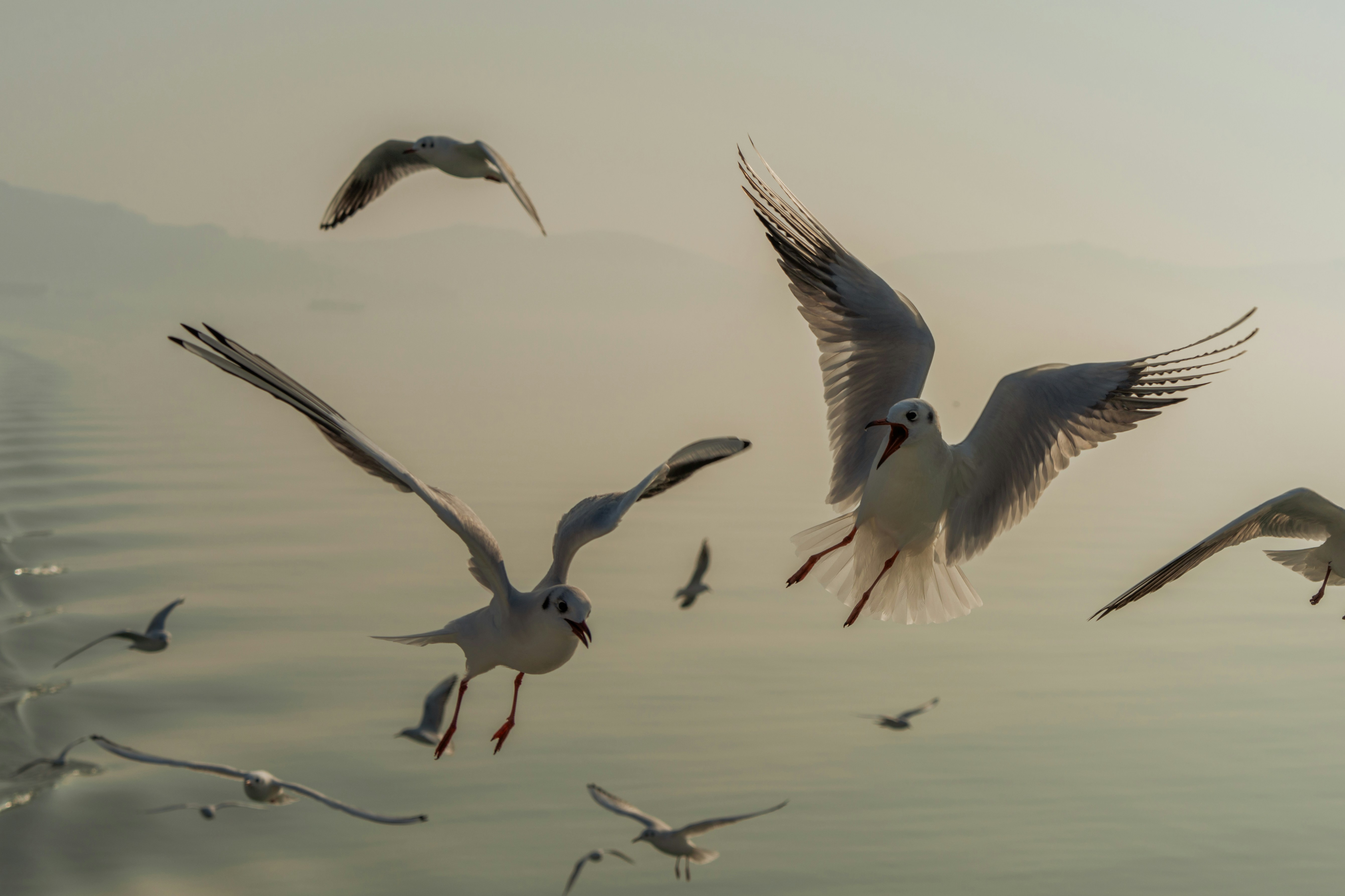 Photo by zhenyao_photo