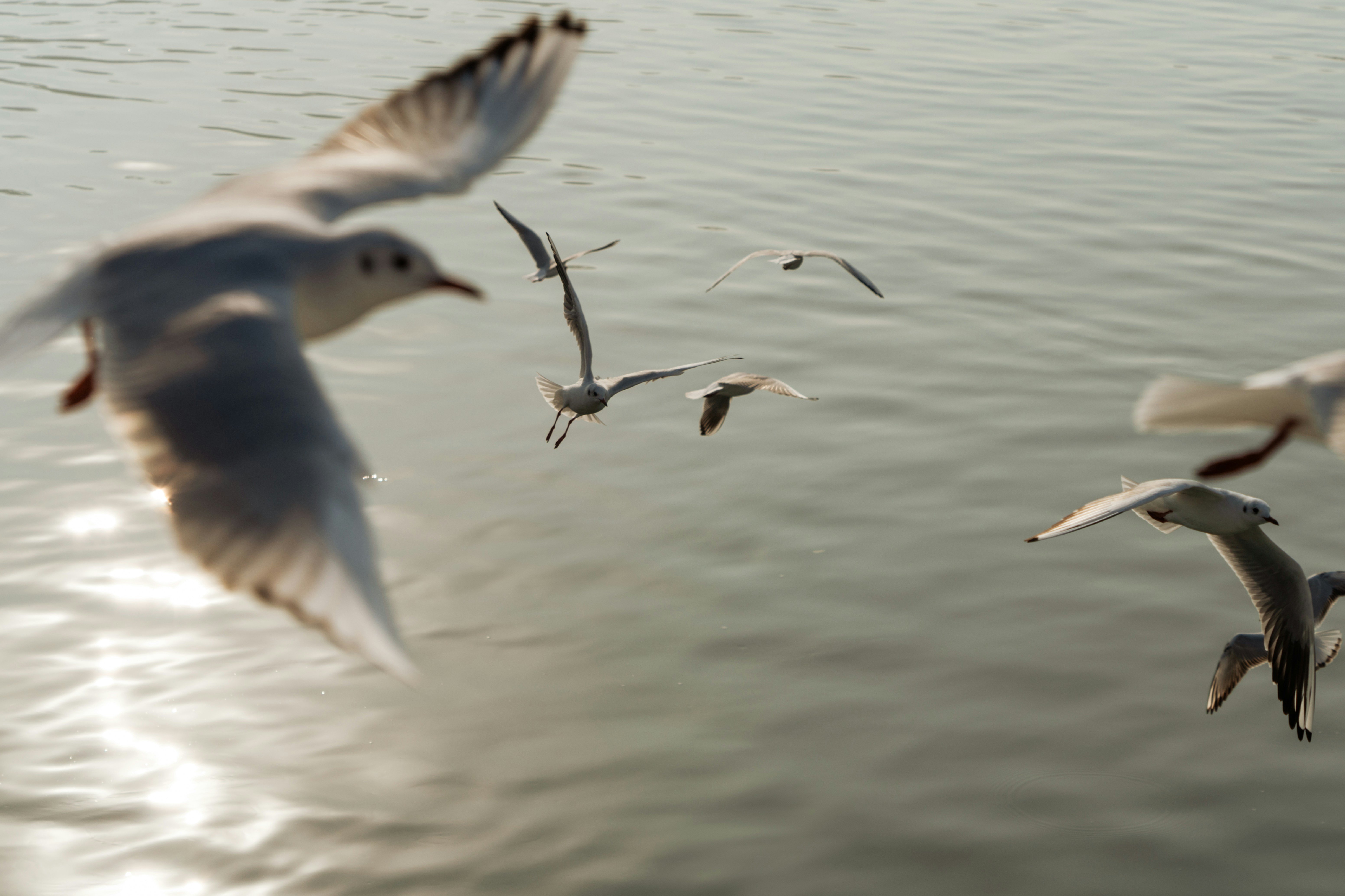 Photo by zhenyao_photo