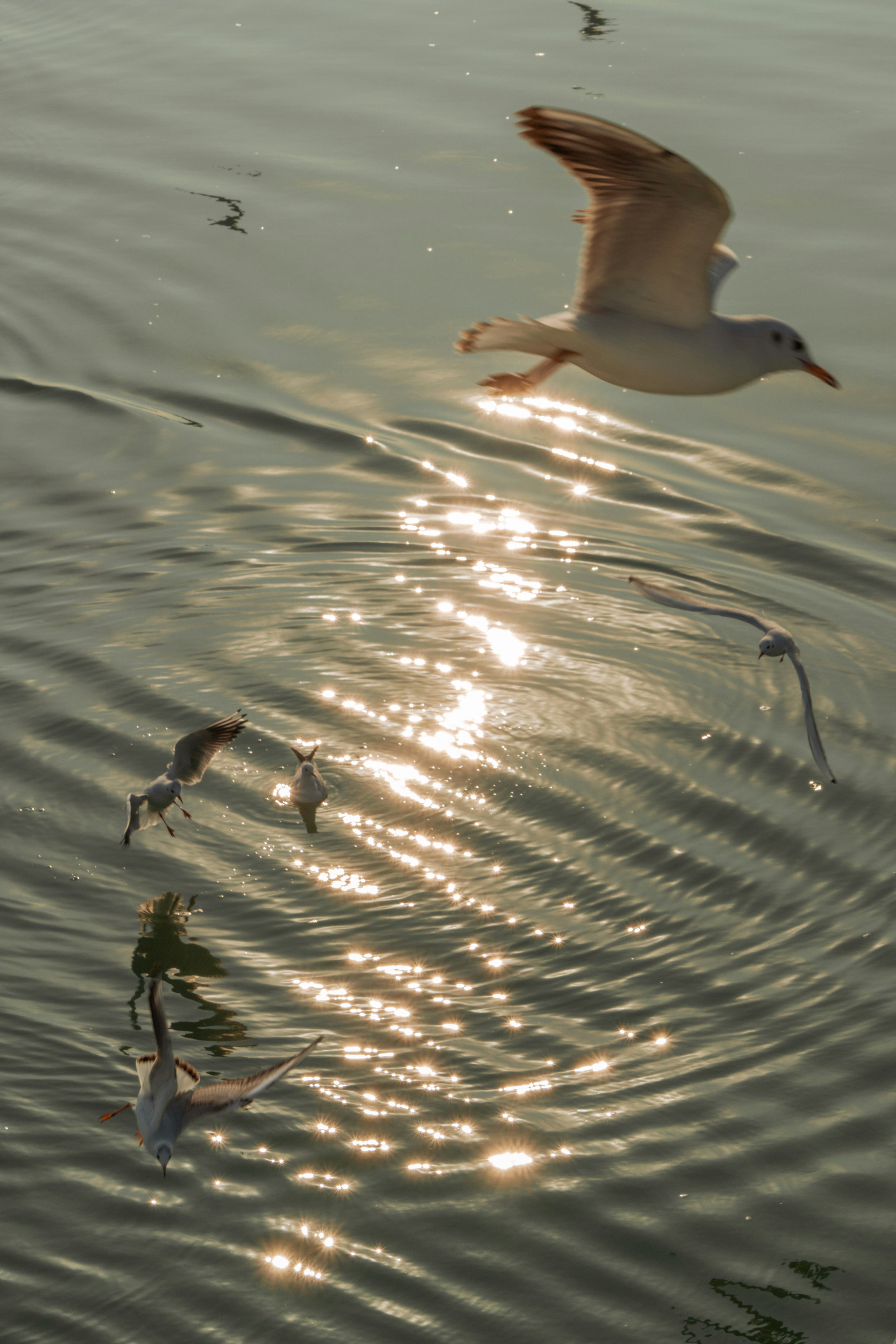 Photo by zhenyao_photo