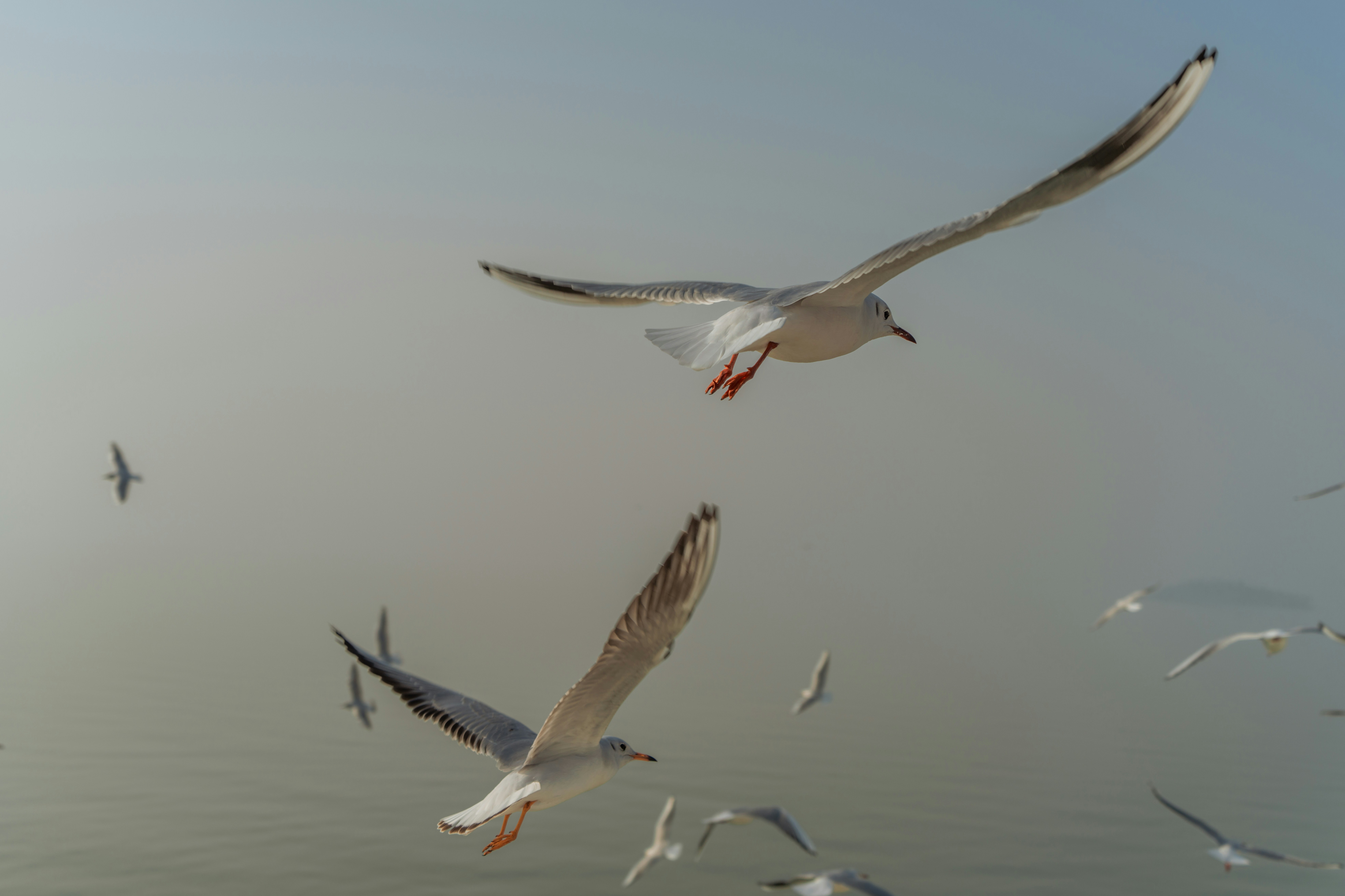 Photo by zhenyao_photo