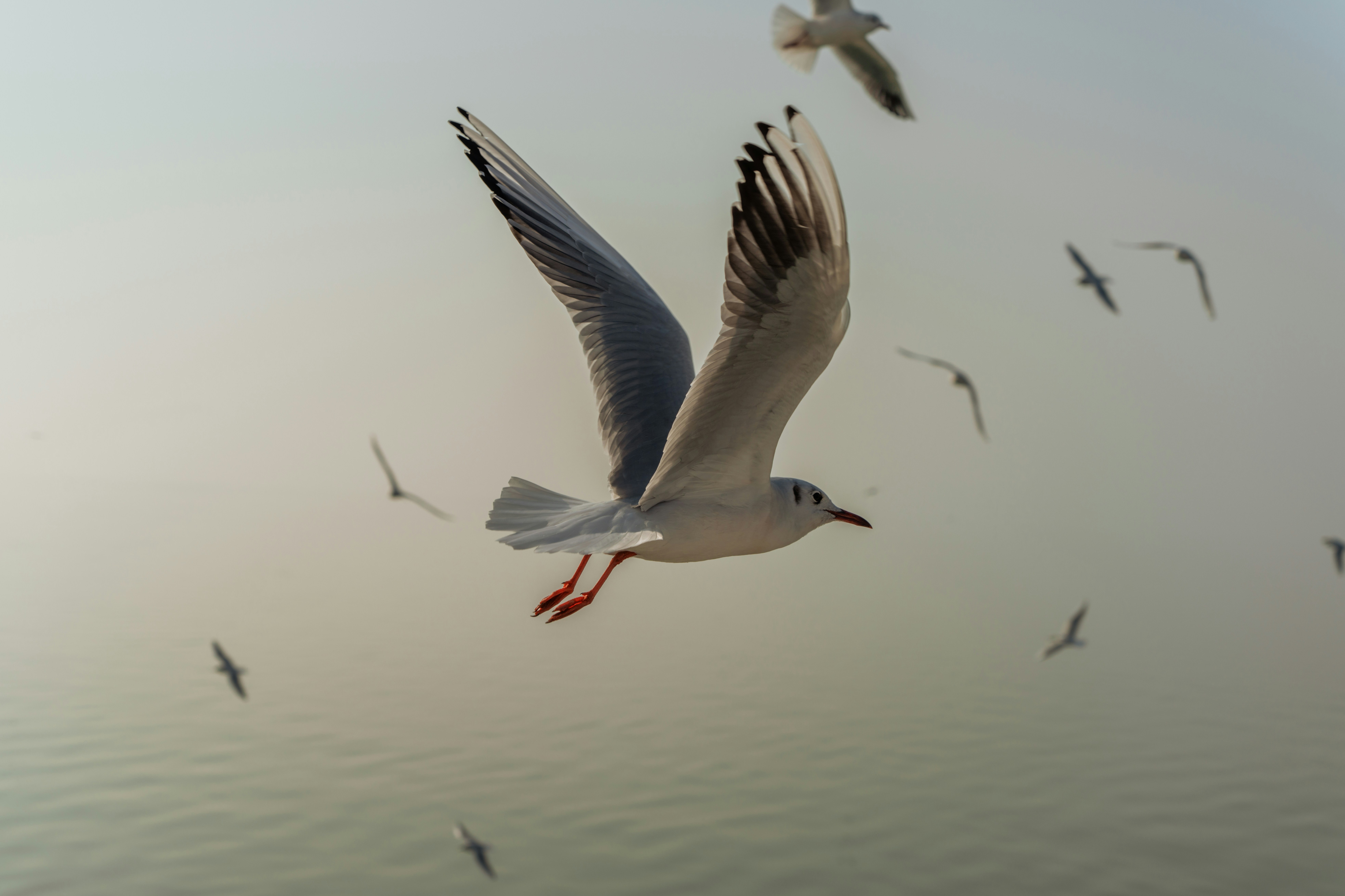 Photo by zhenyao_photo