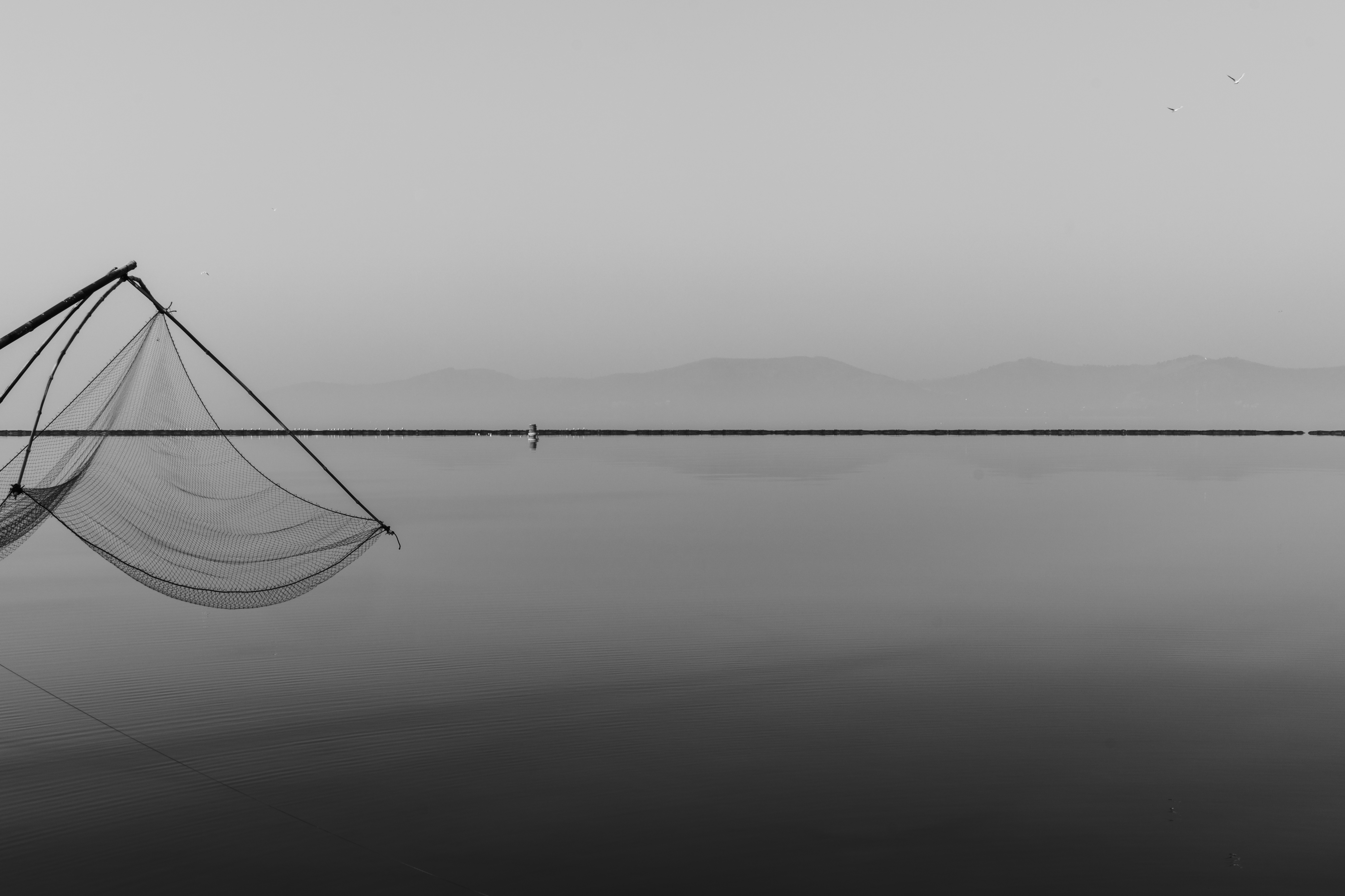 Photo by zhenyao_photo