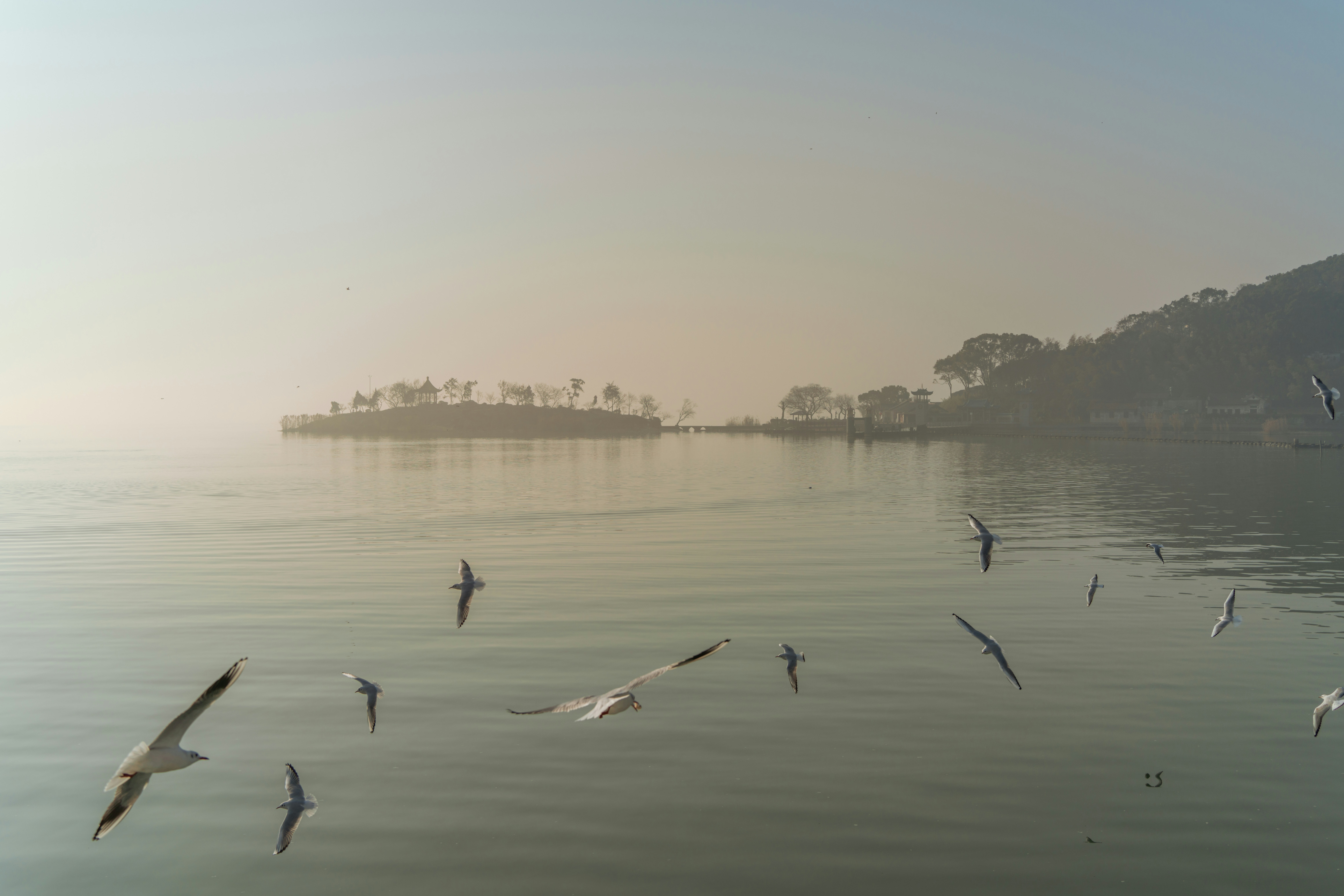 Photo by zhenyao_photo