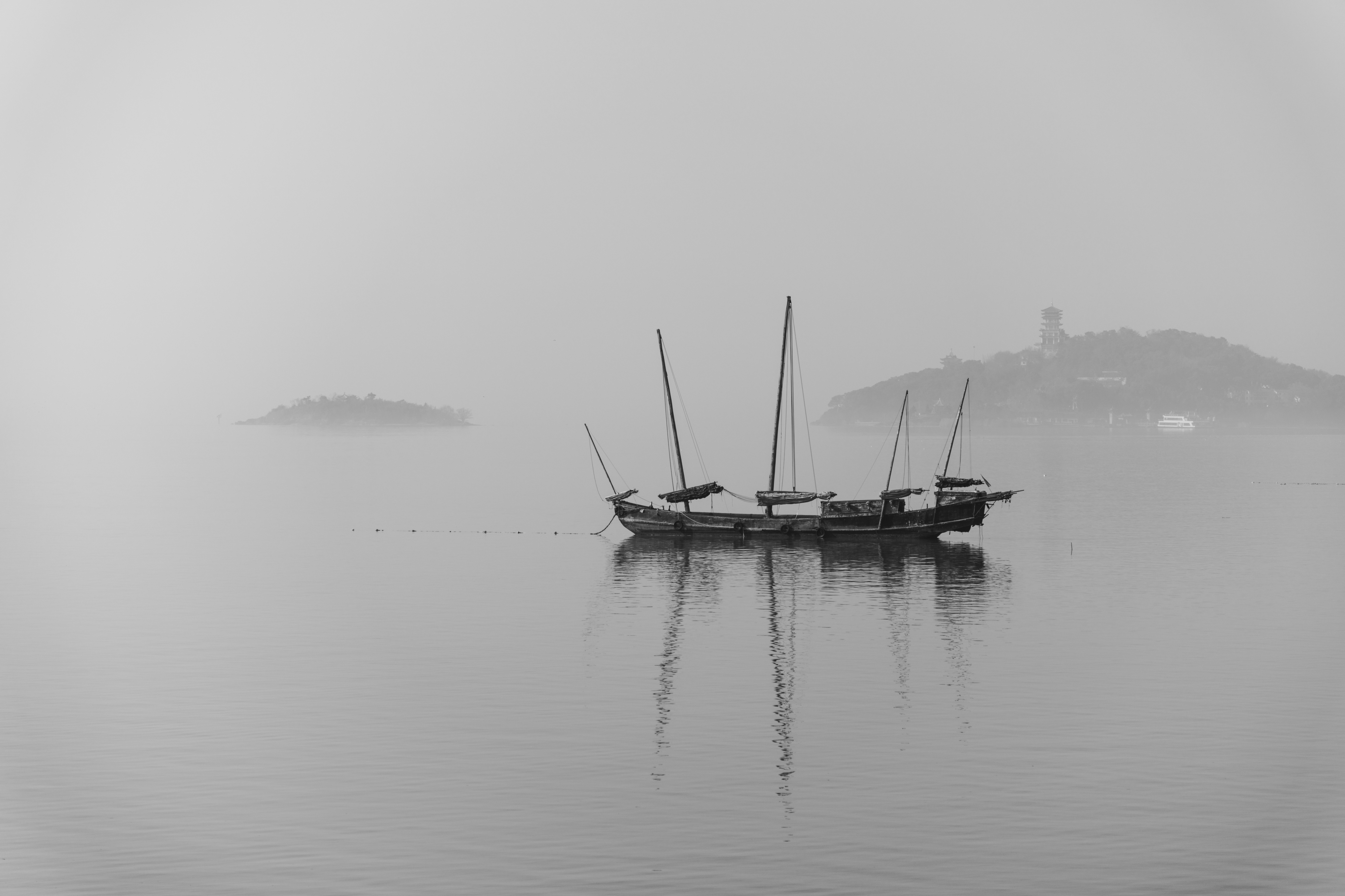 Photo by zhenyao_photo