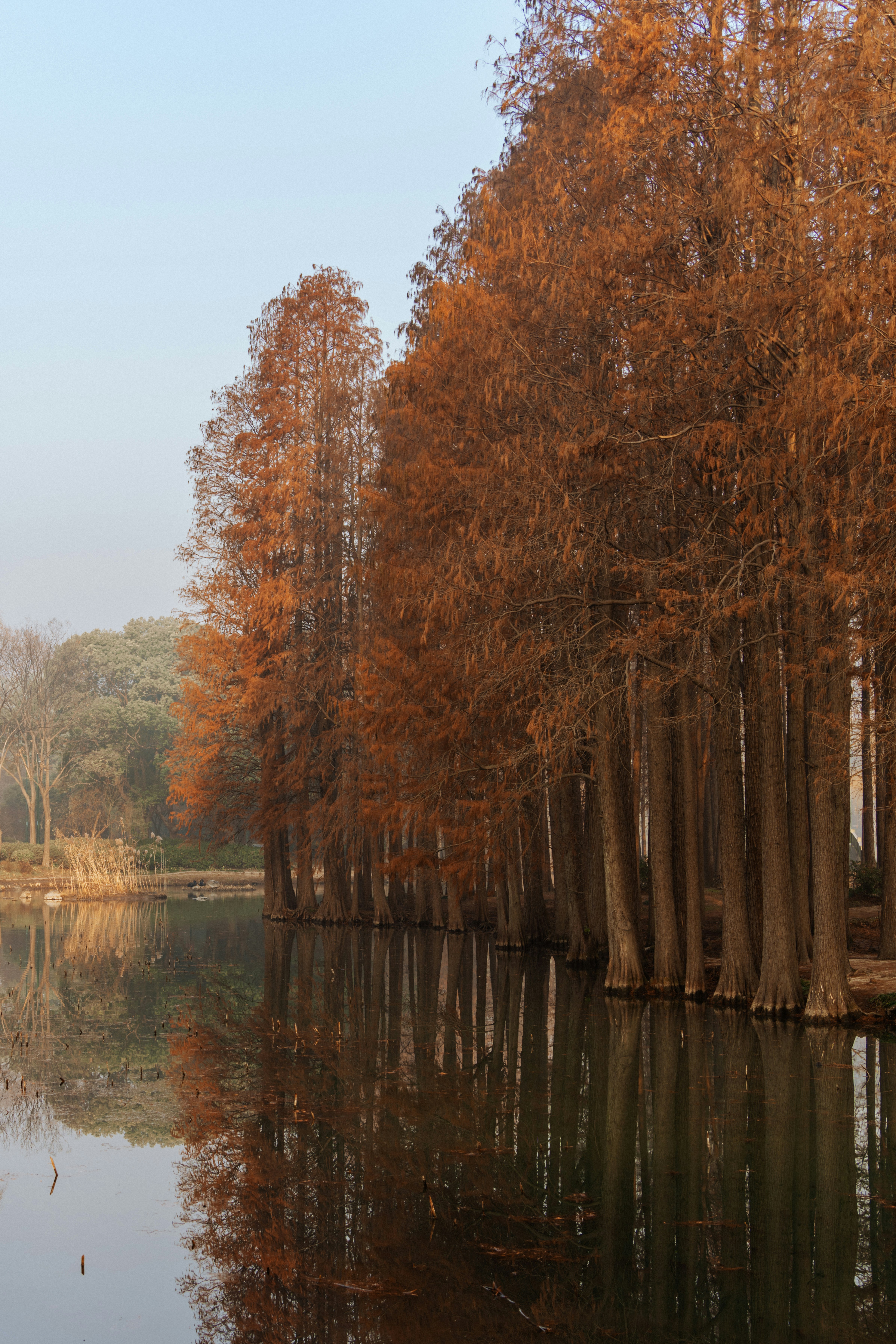 Photo by zhenyao_photo