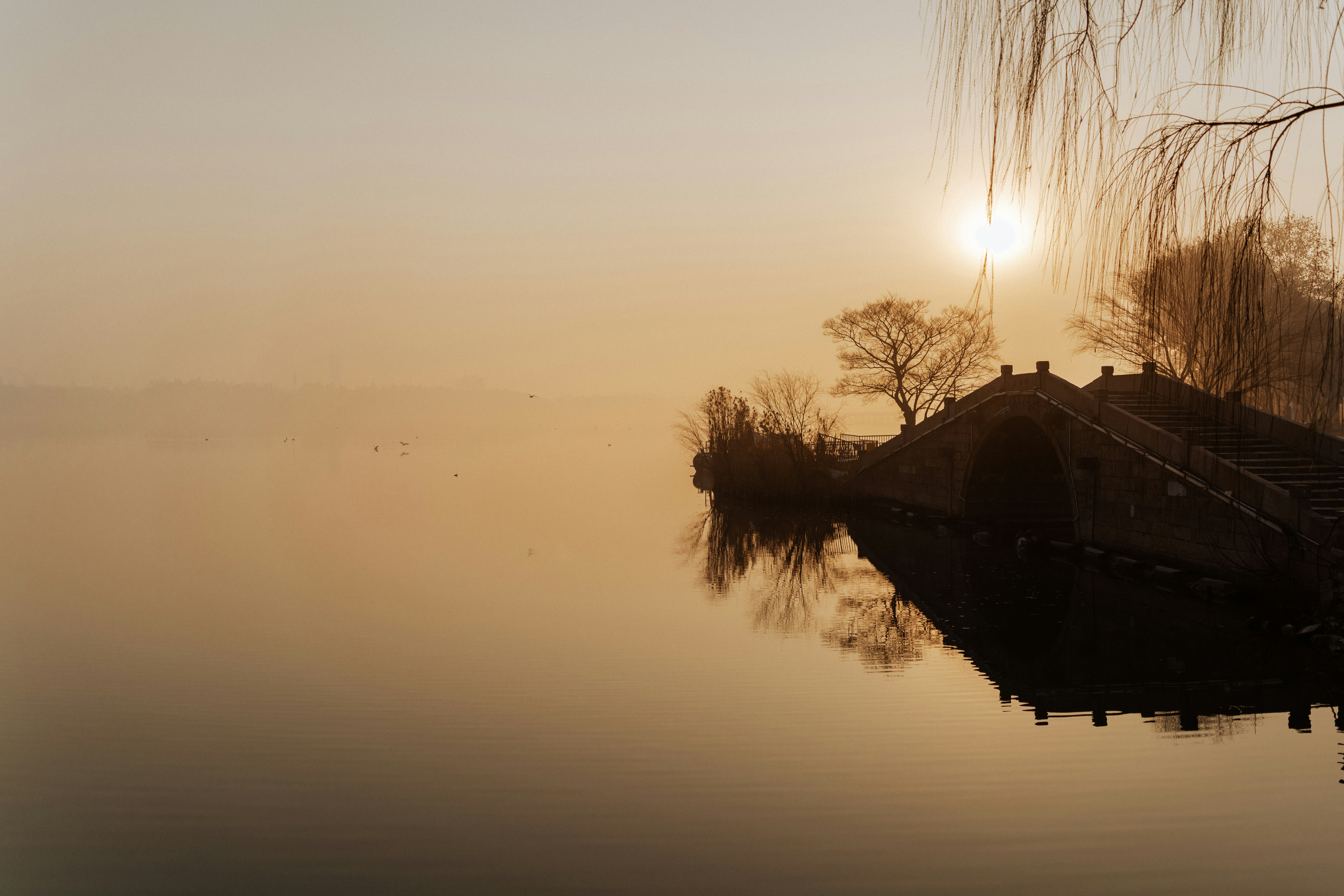 Photo by zhenyao_photo