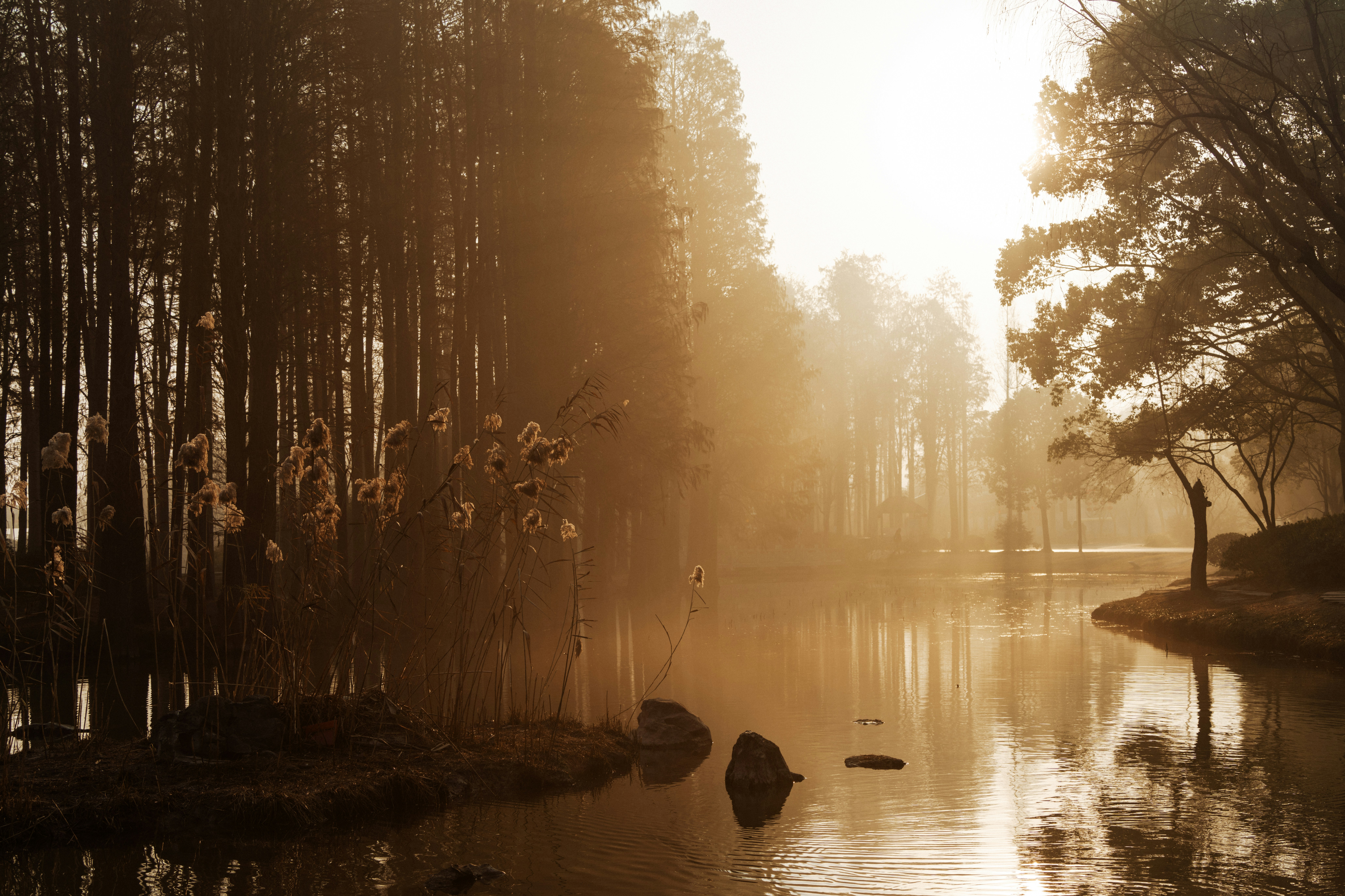 Photo by zhenyao_photo