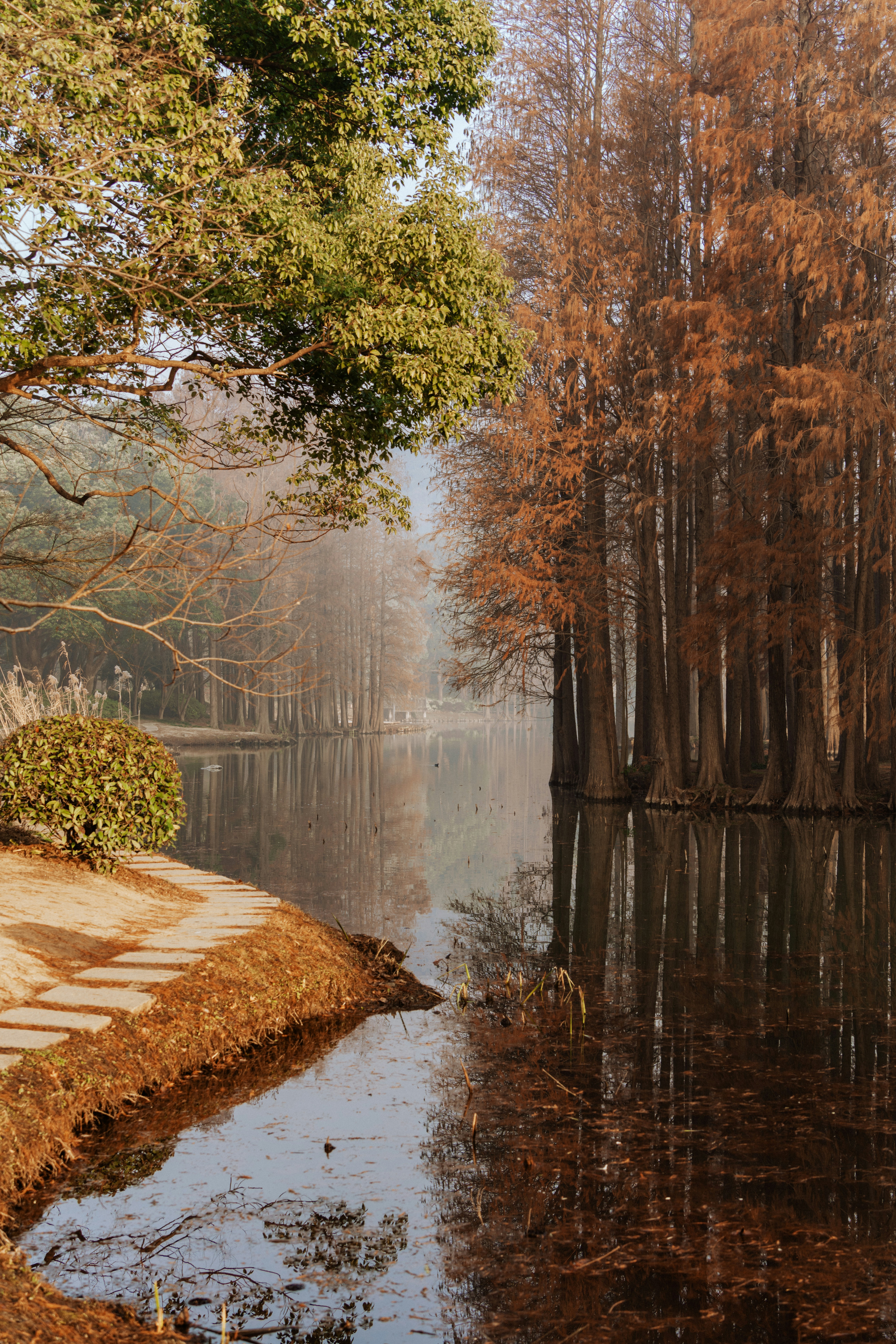 Photo by zhenyao_photo