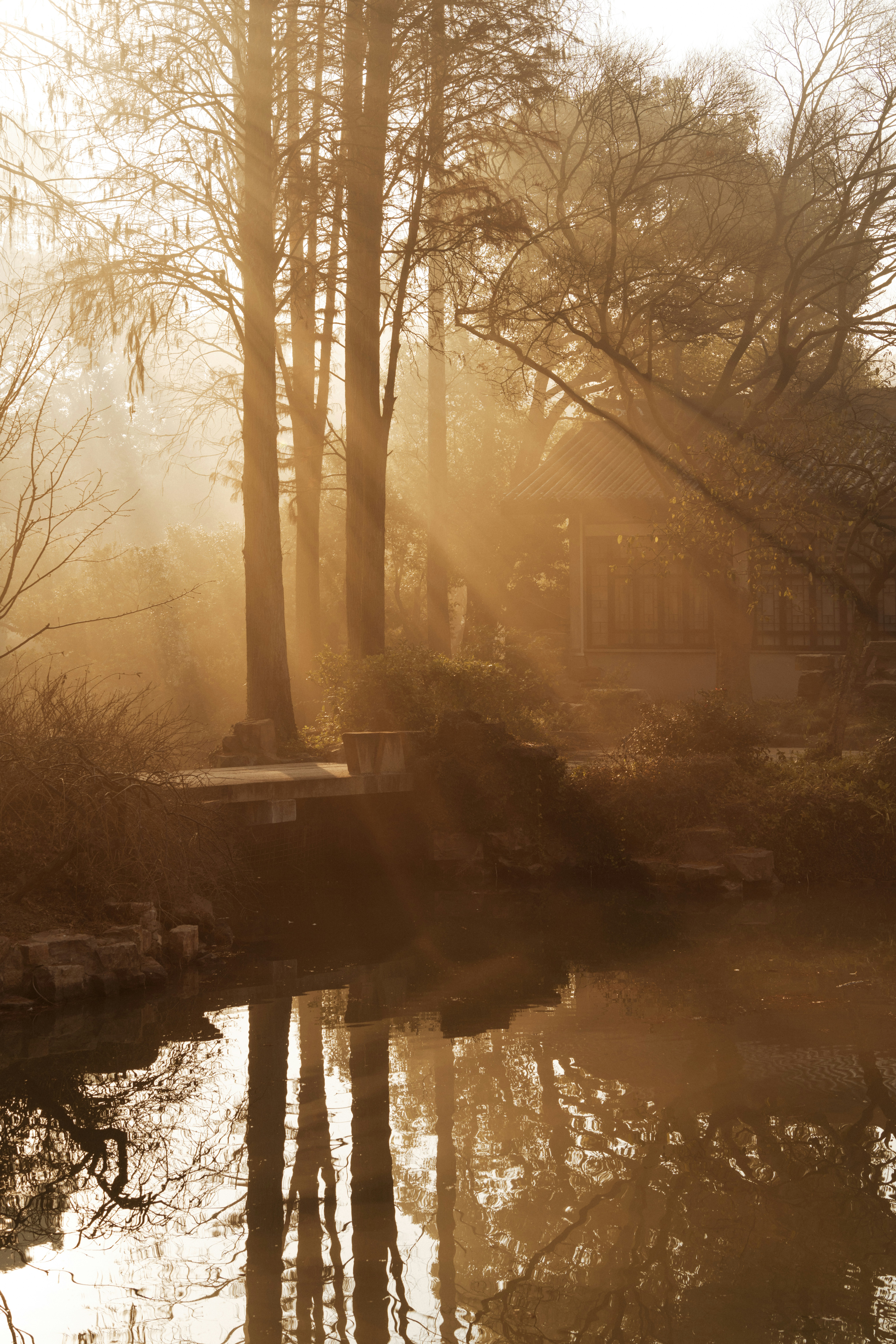 Photo by zhenyao_photo