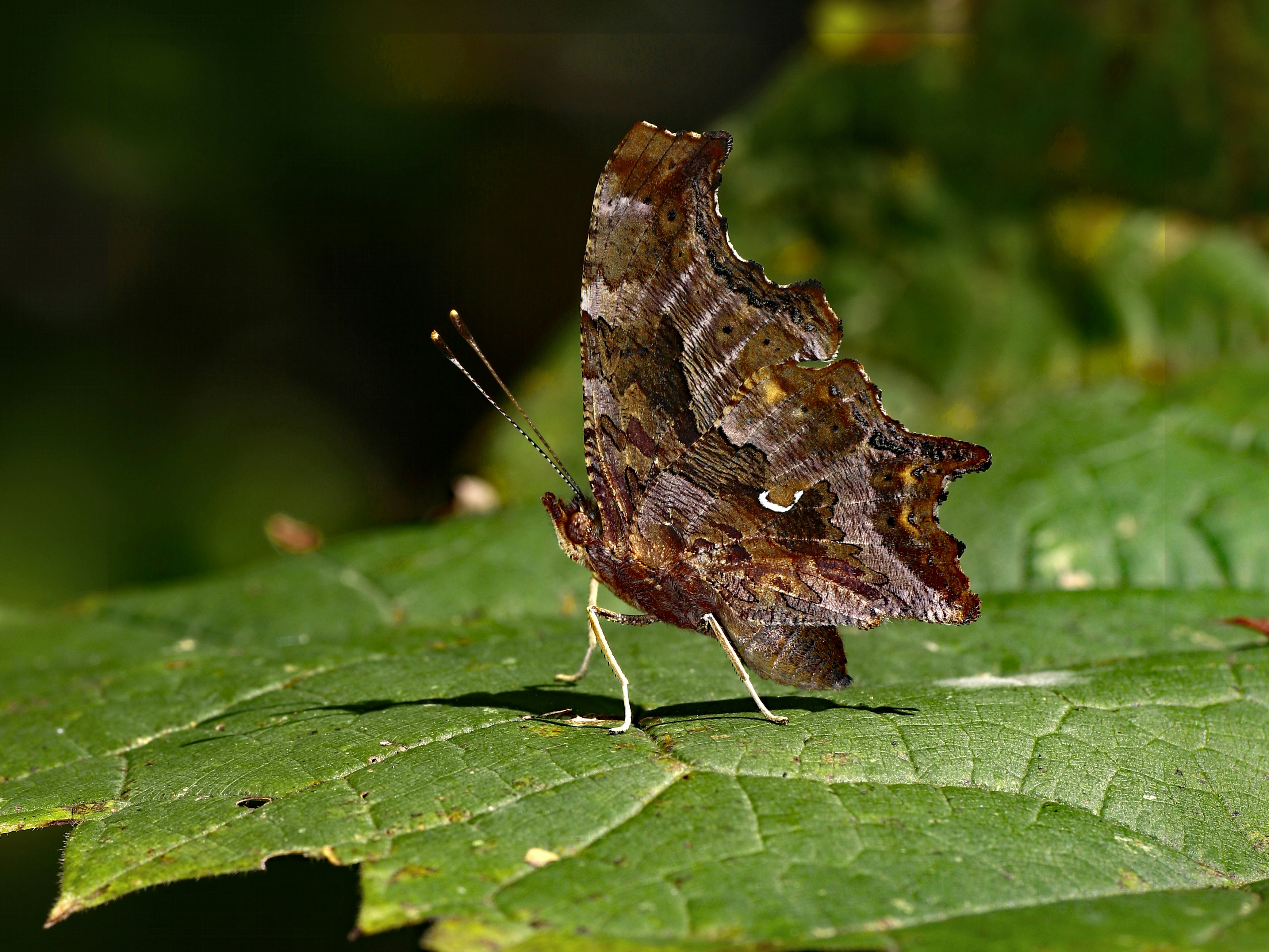 Photo by telliottmbamsc