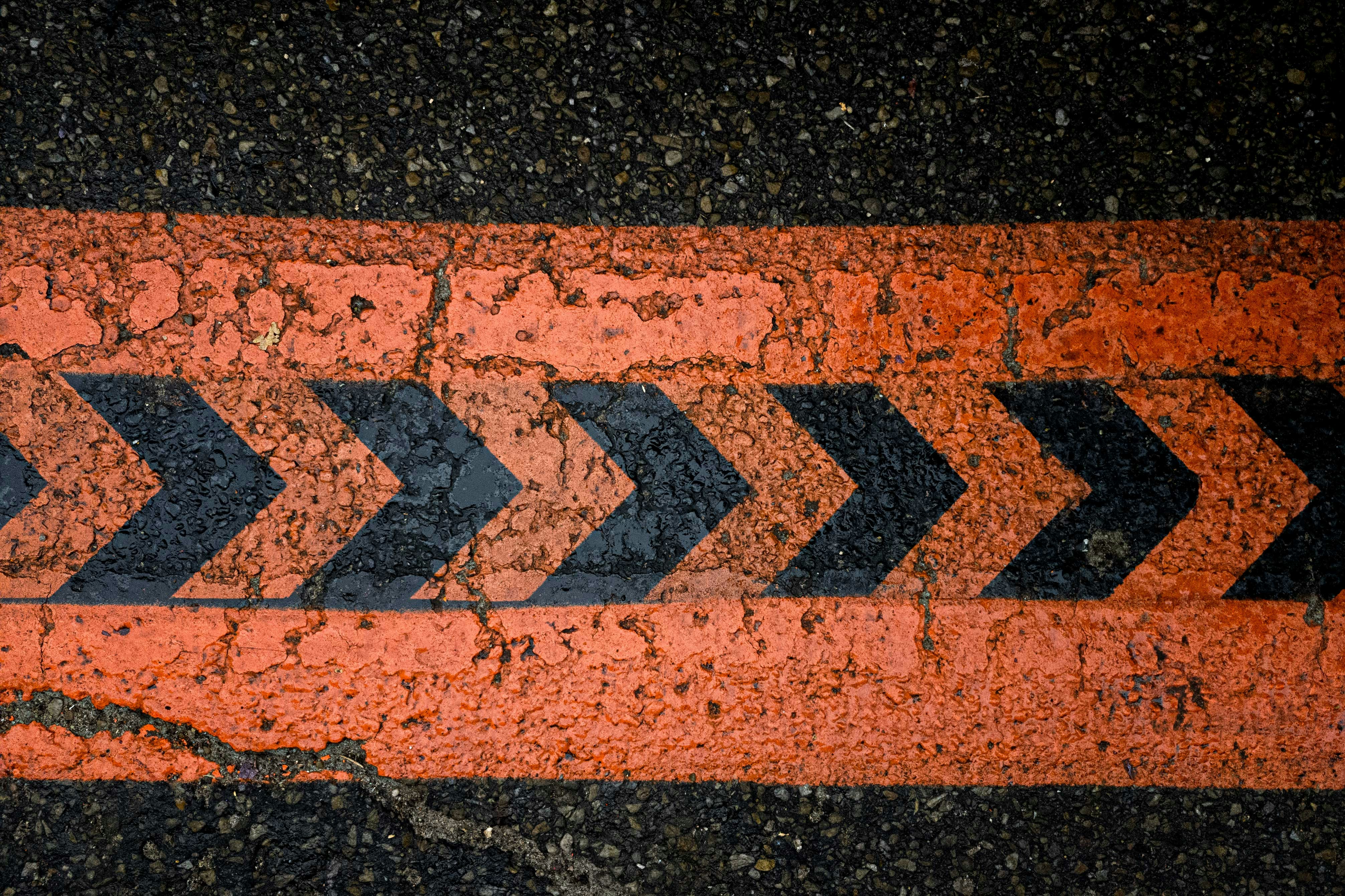 Photo by olgakondratenko