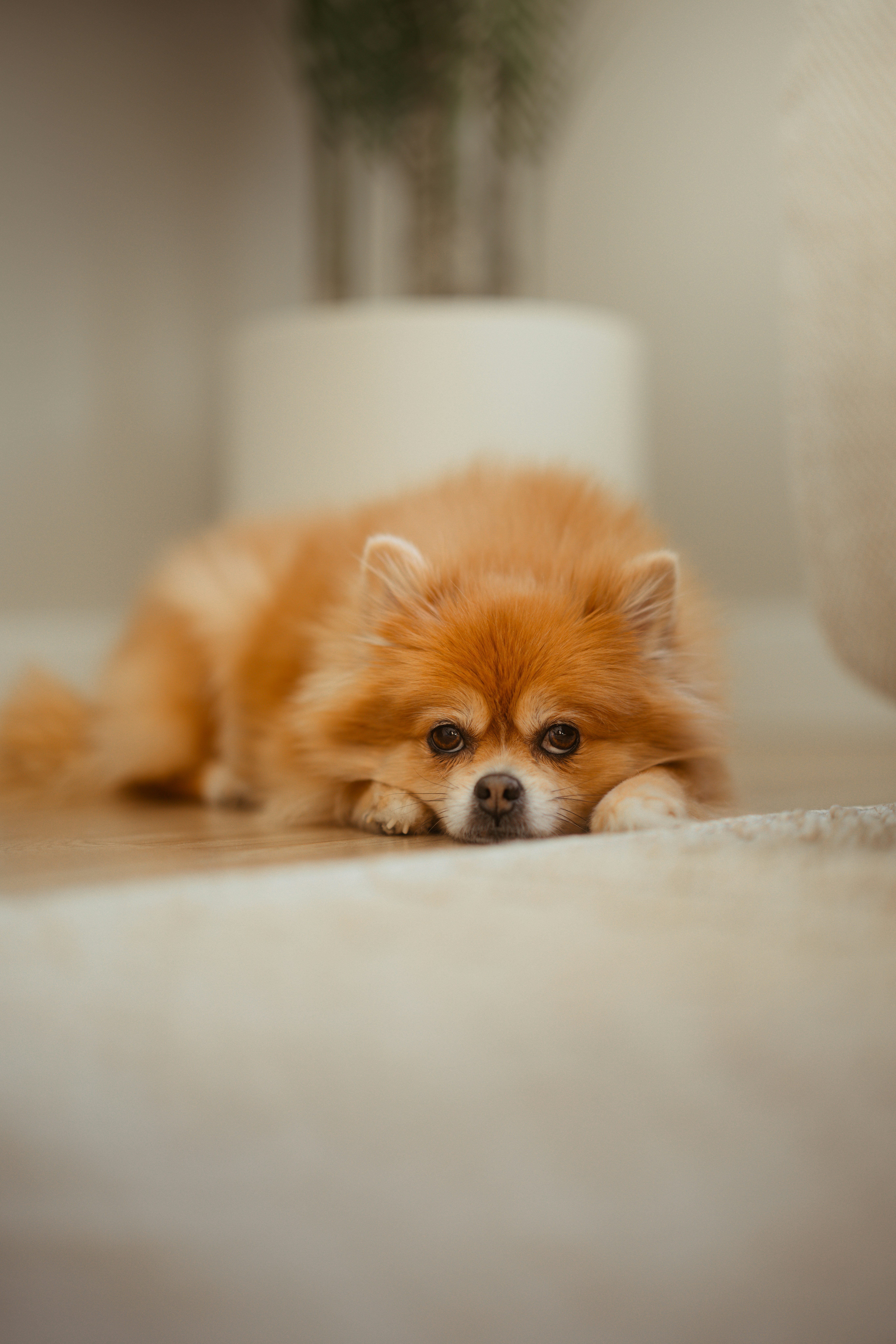 Photo by one91creative