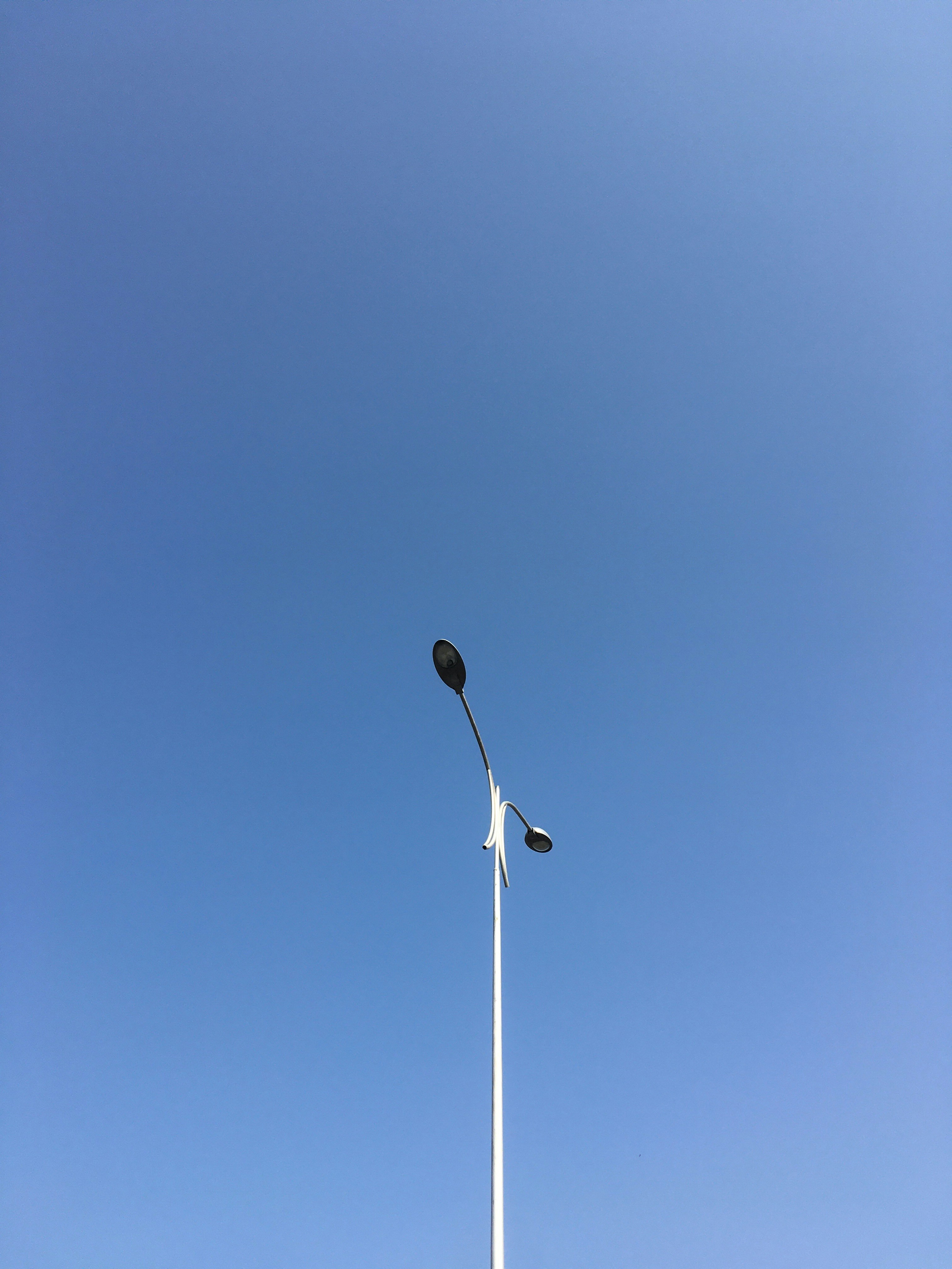 Bluess