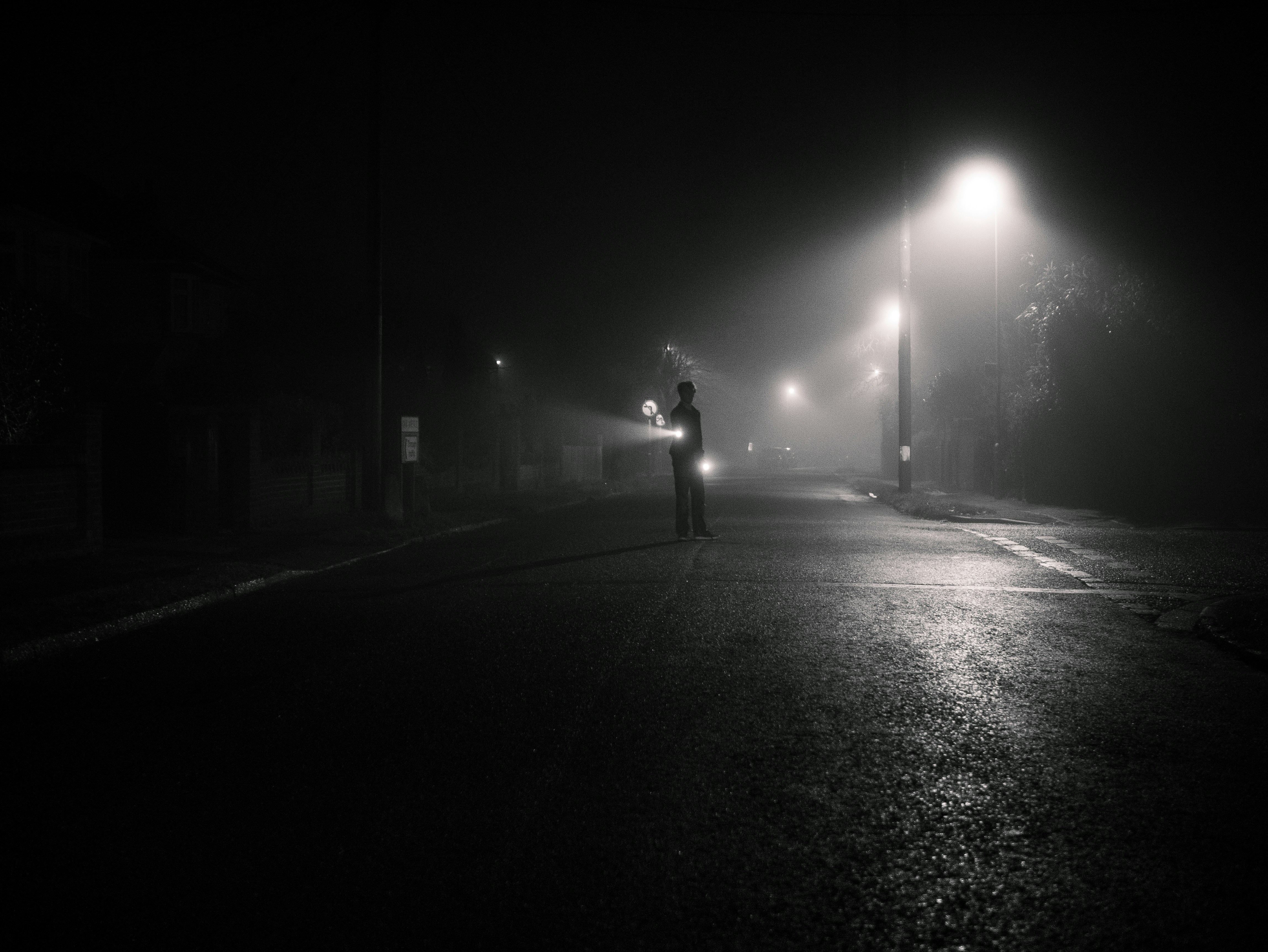 Real Grass Dog Toilet \u0026 Dog Training - One Off Purchase – City Doggo, image size:3000x2253