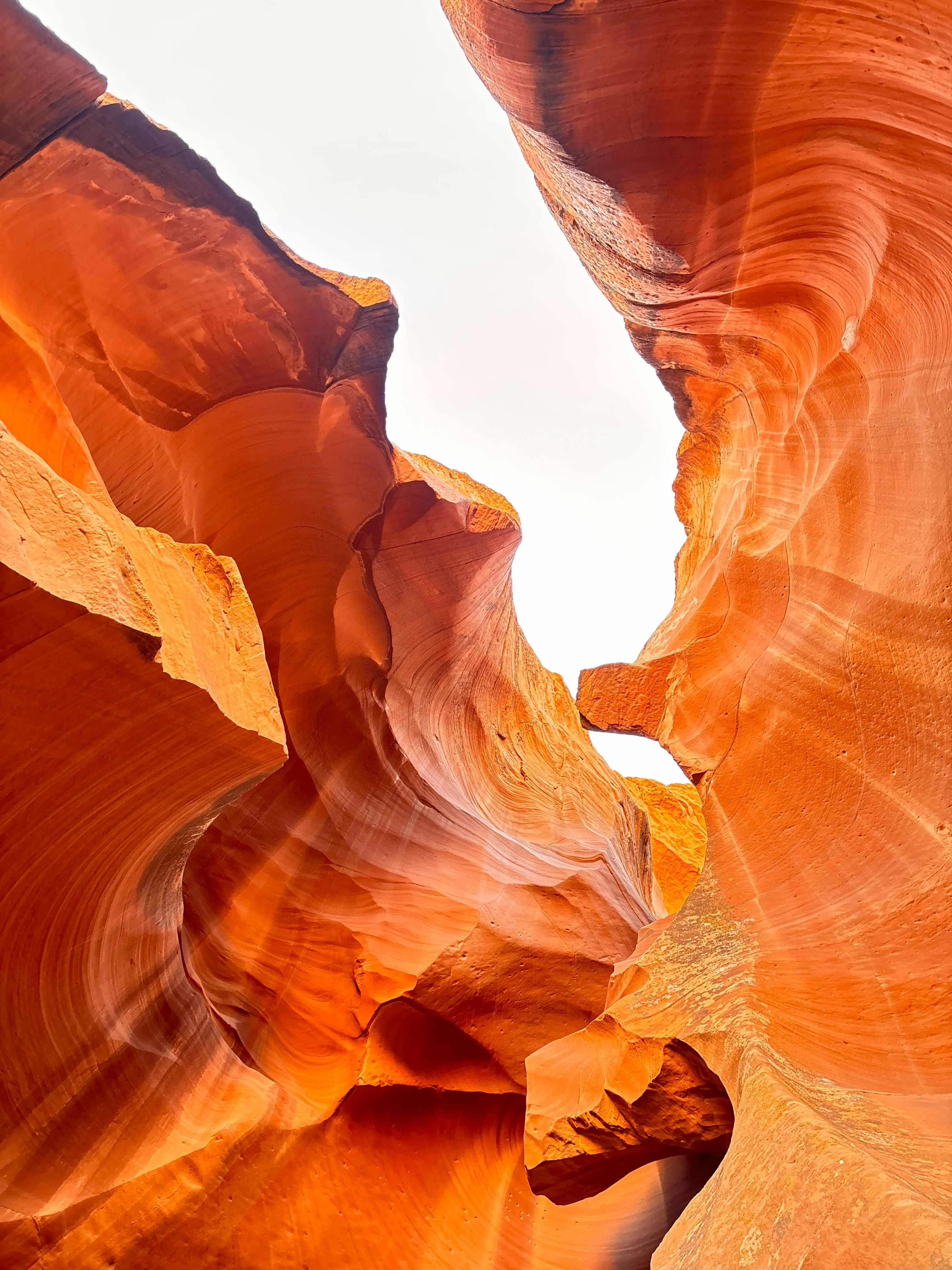 Photo by username12313