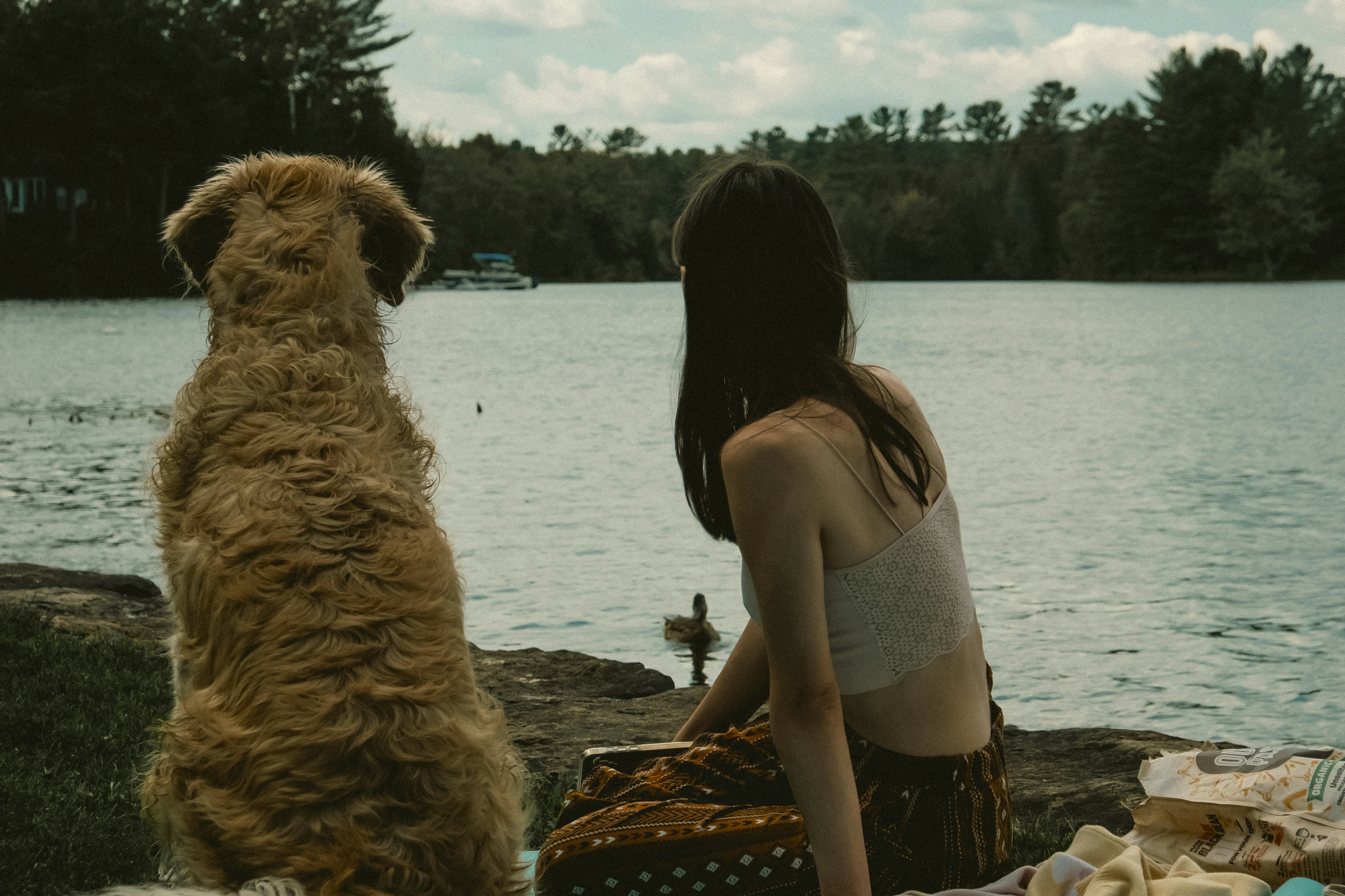 A woman sitting next to a dog on a beach