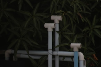 A close up of pipes and pipes in front of a tree