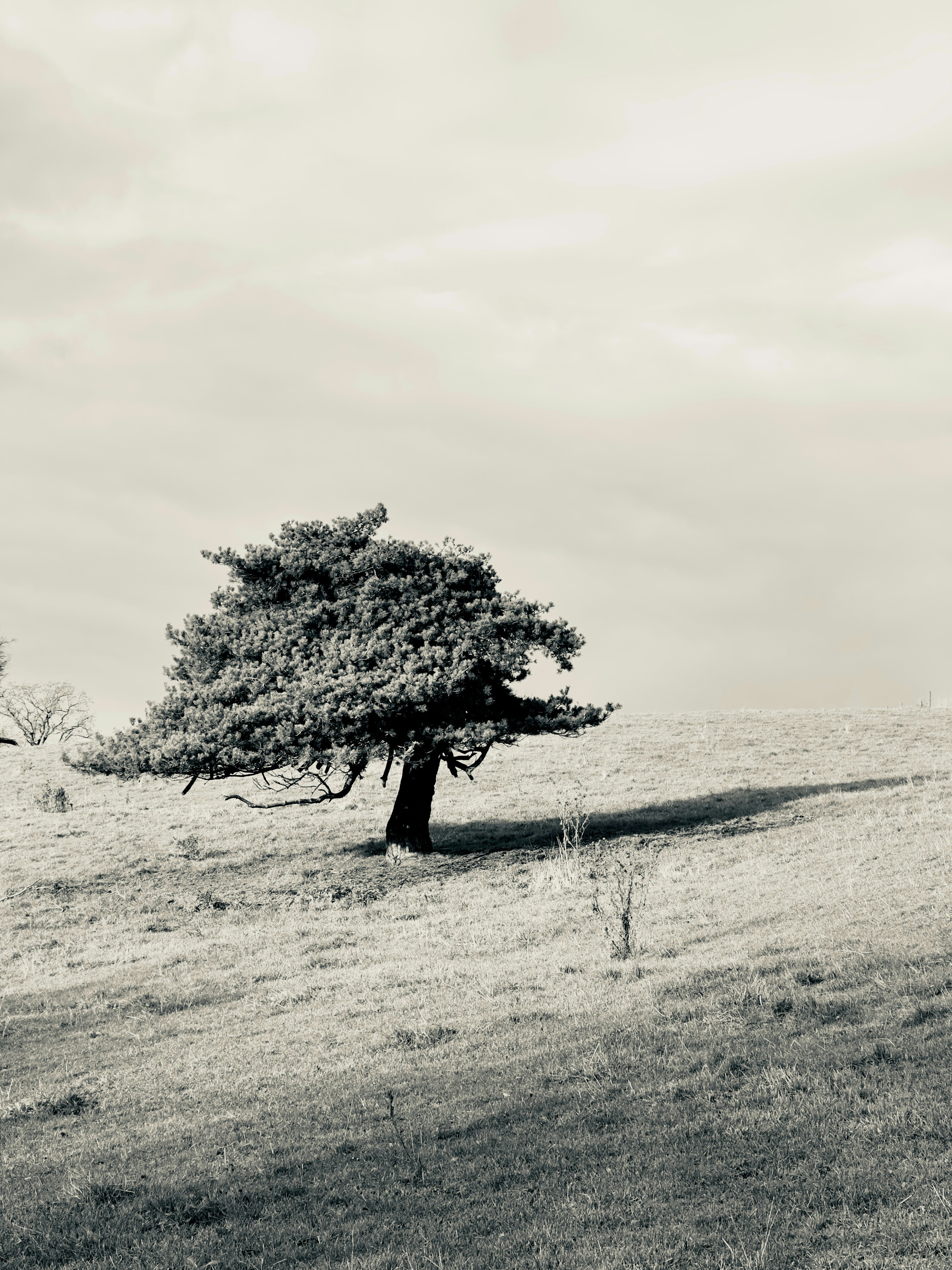 Photo by kuhnigrafie