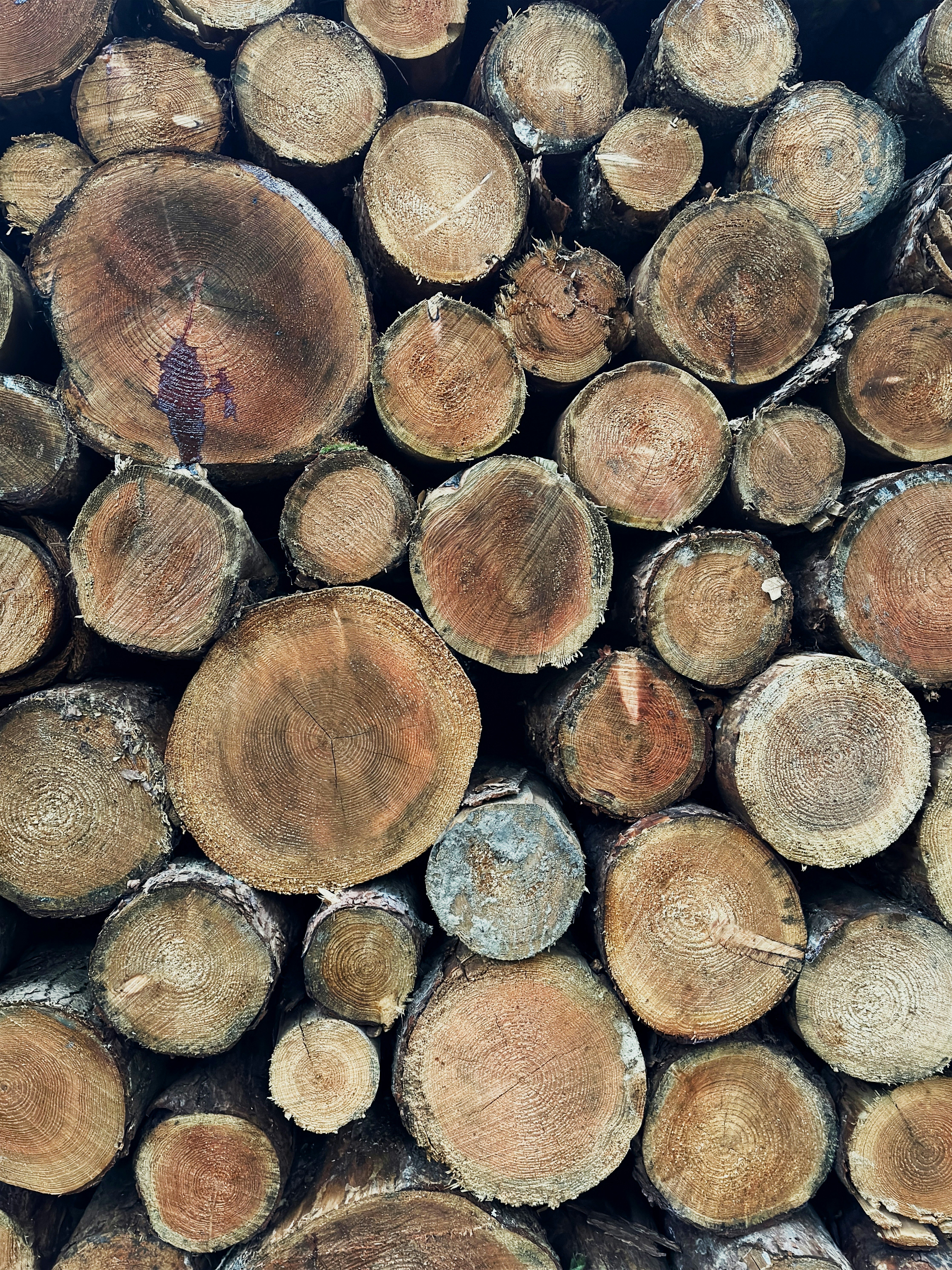 Photo by kuhnigrafie