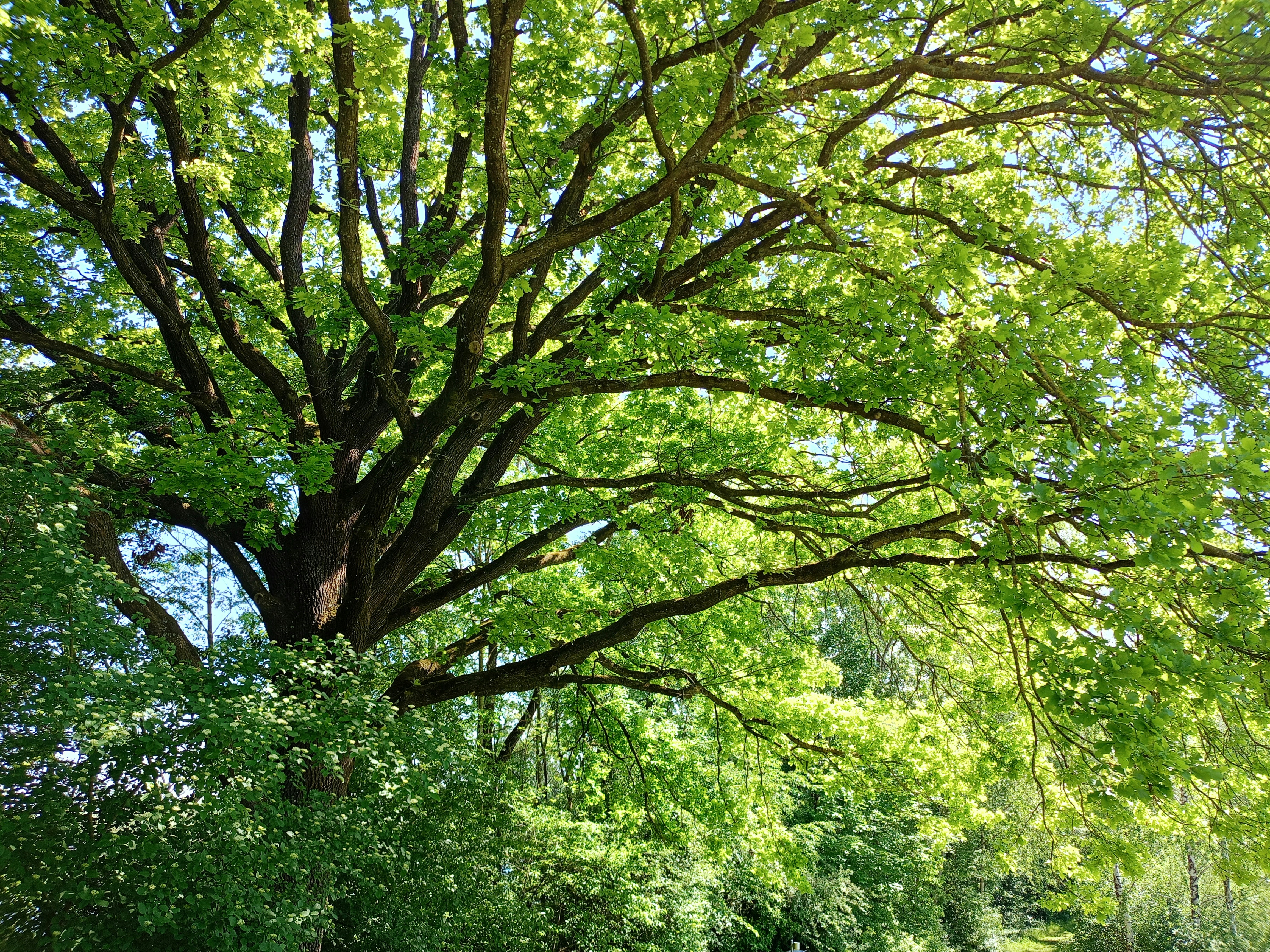 Photo by desislava66