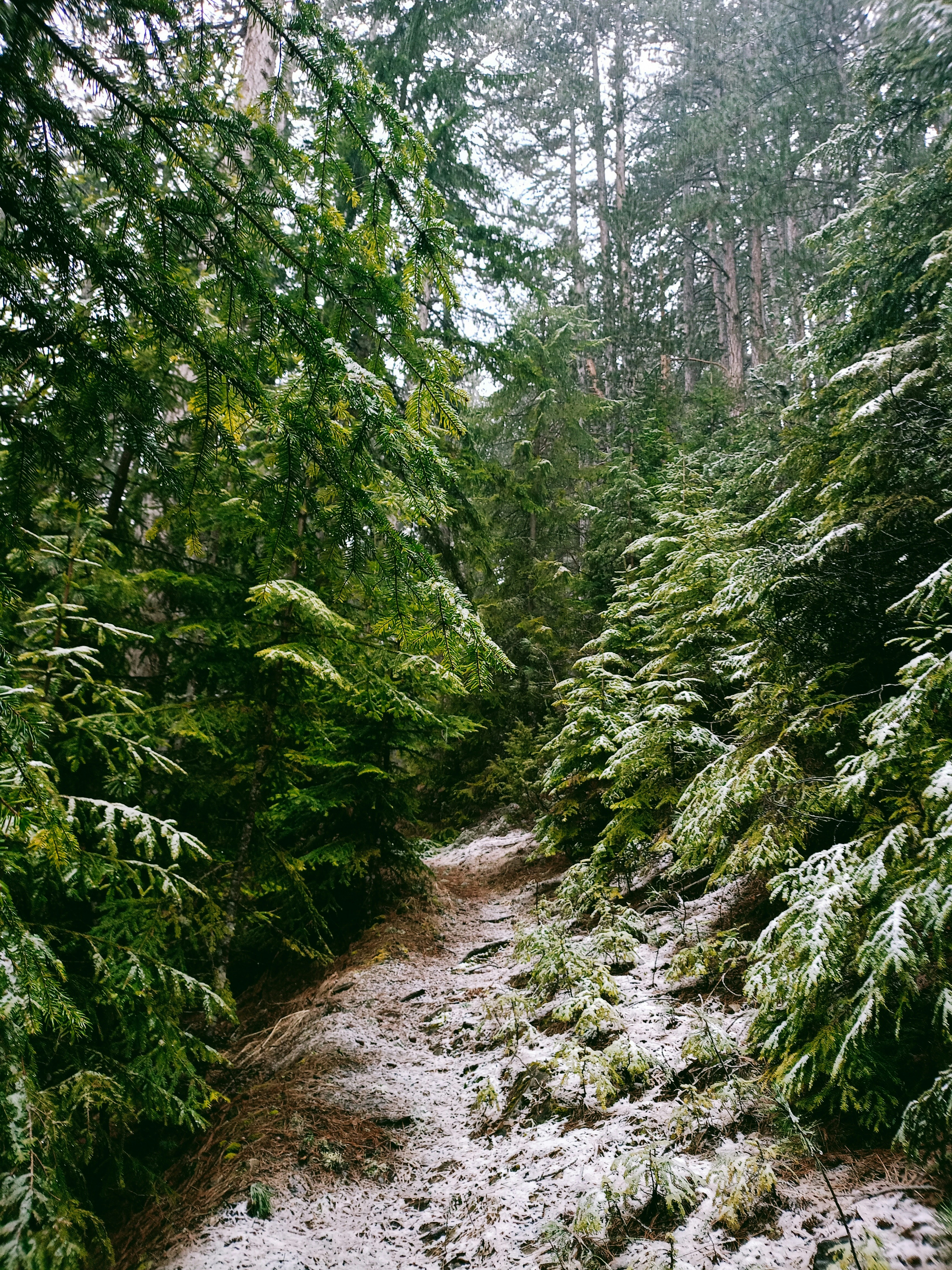 Photo by desislava66