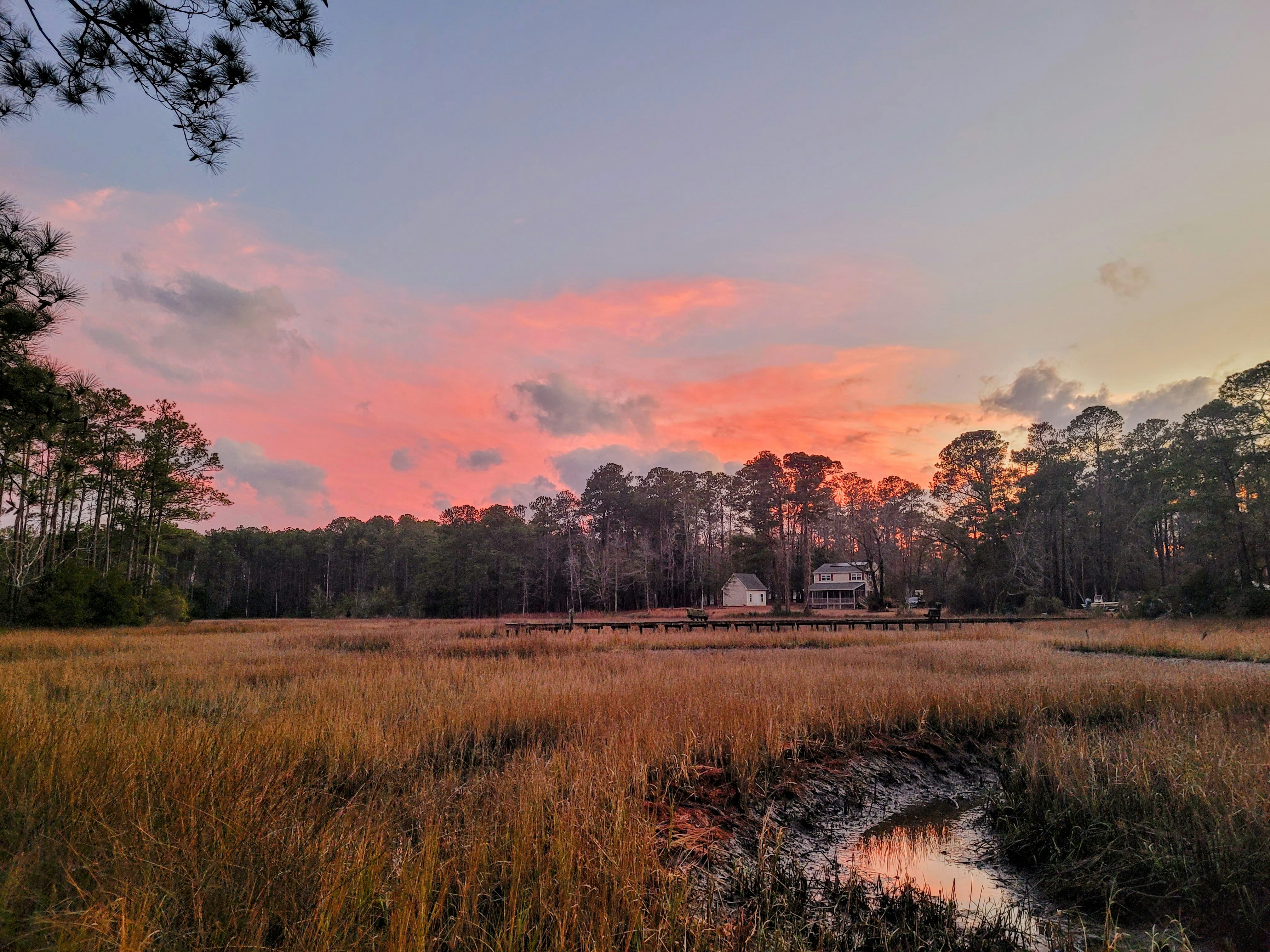 A field with a sunset in the background