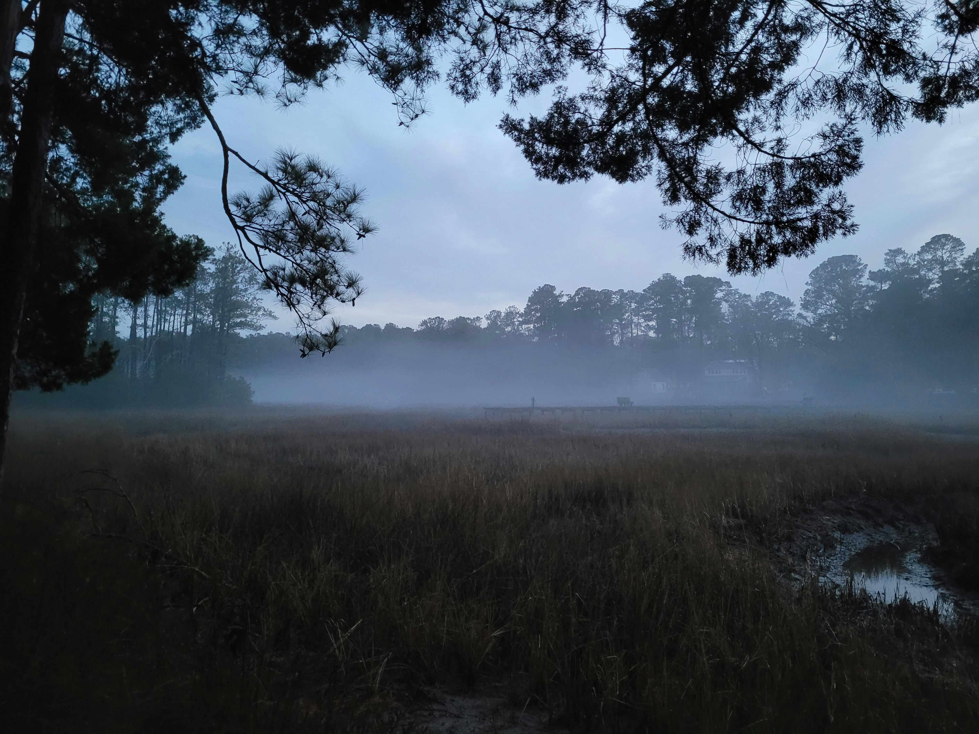 A foggy field with trees in the distance
