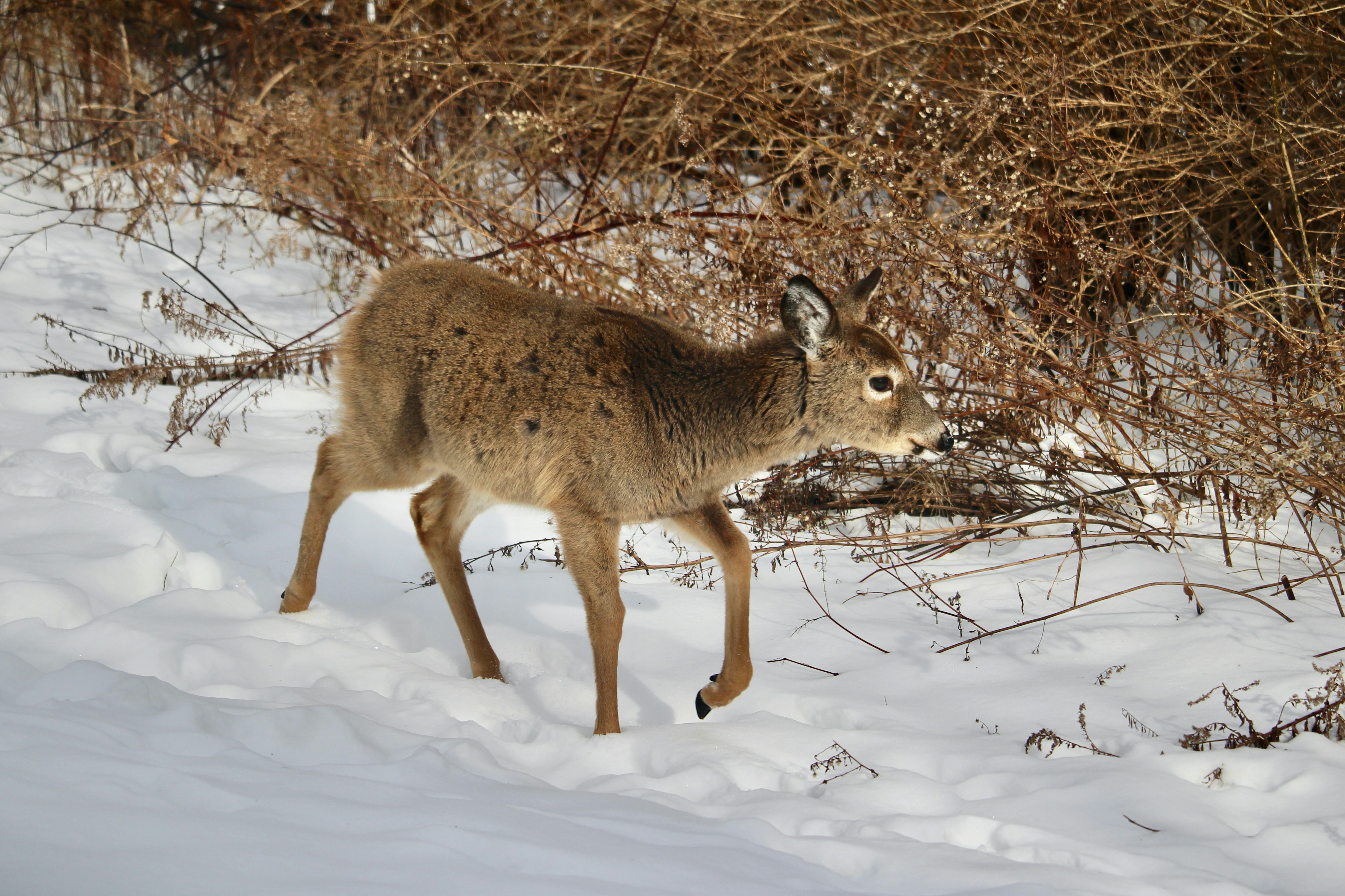 Photo by cecilemousist