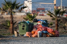 A pile of garbage sitting next to palm trees