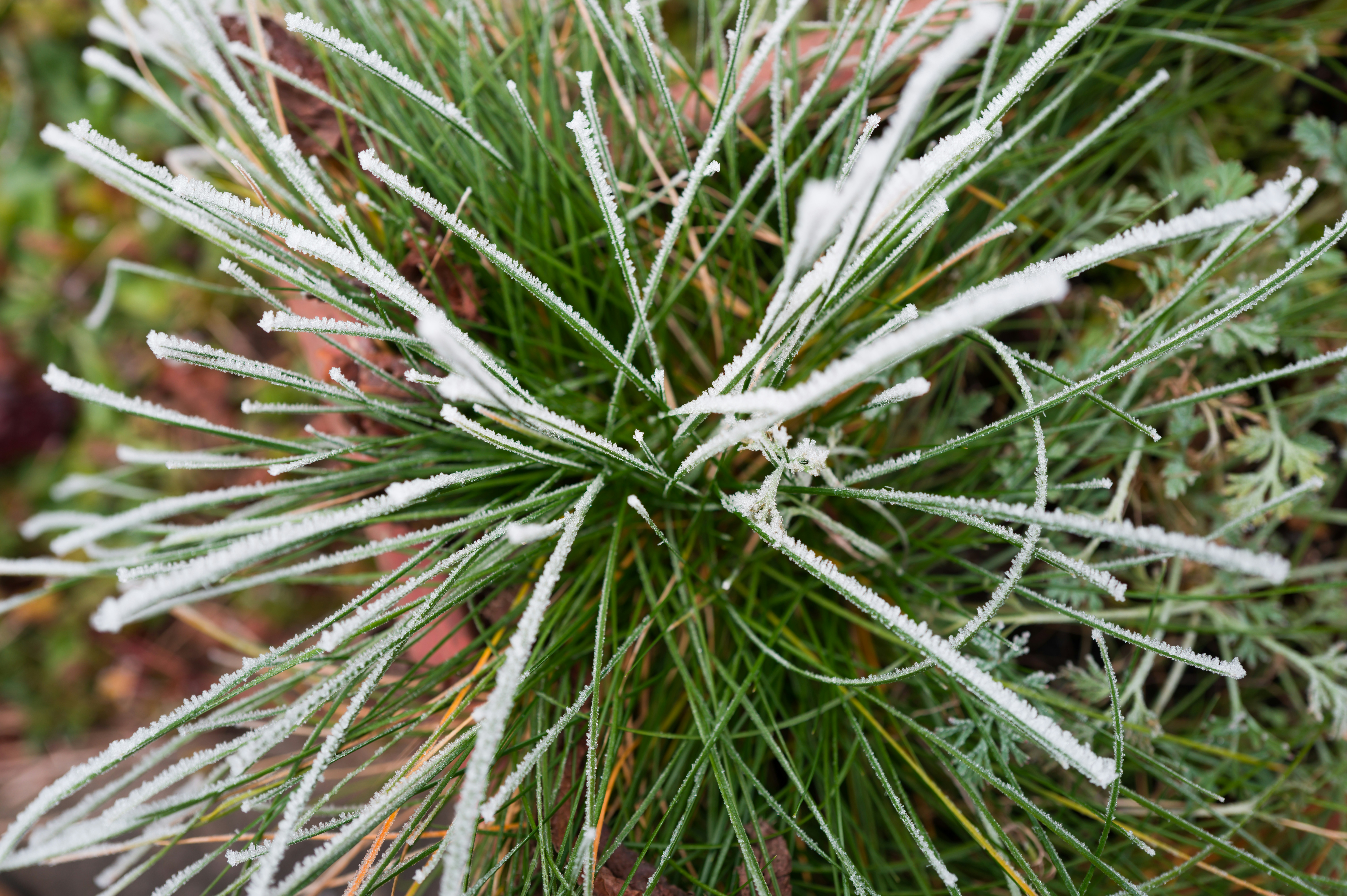 One False Assumption