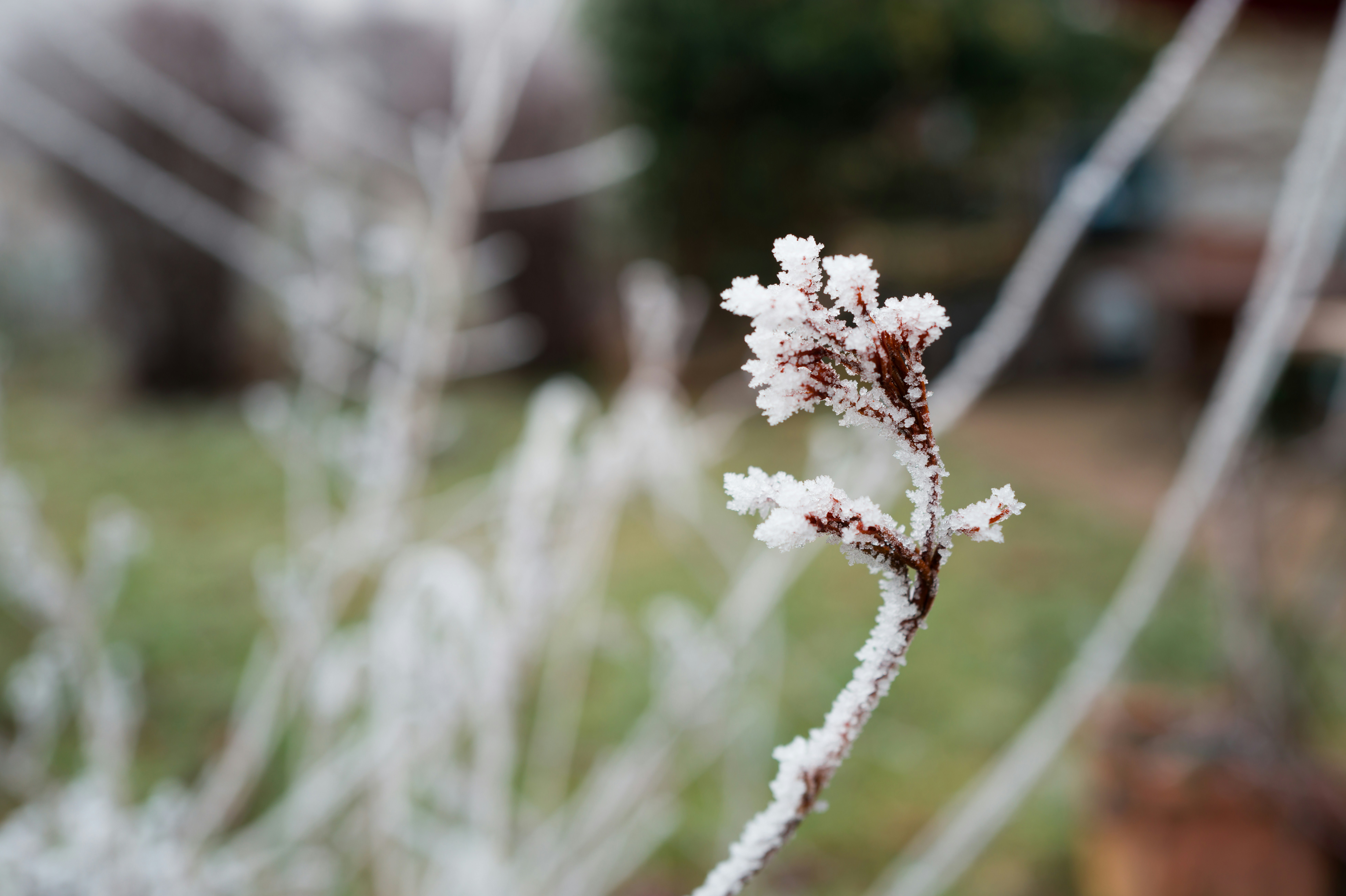 Photo by georgeiermann