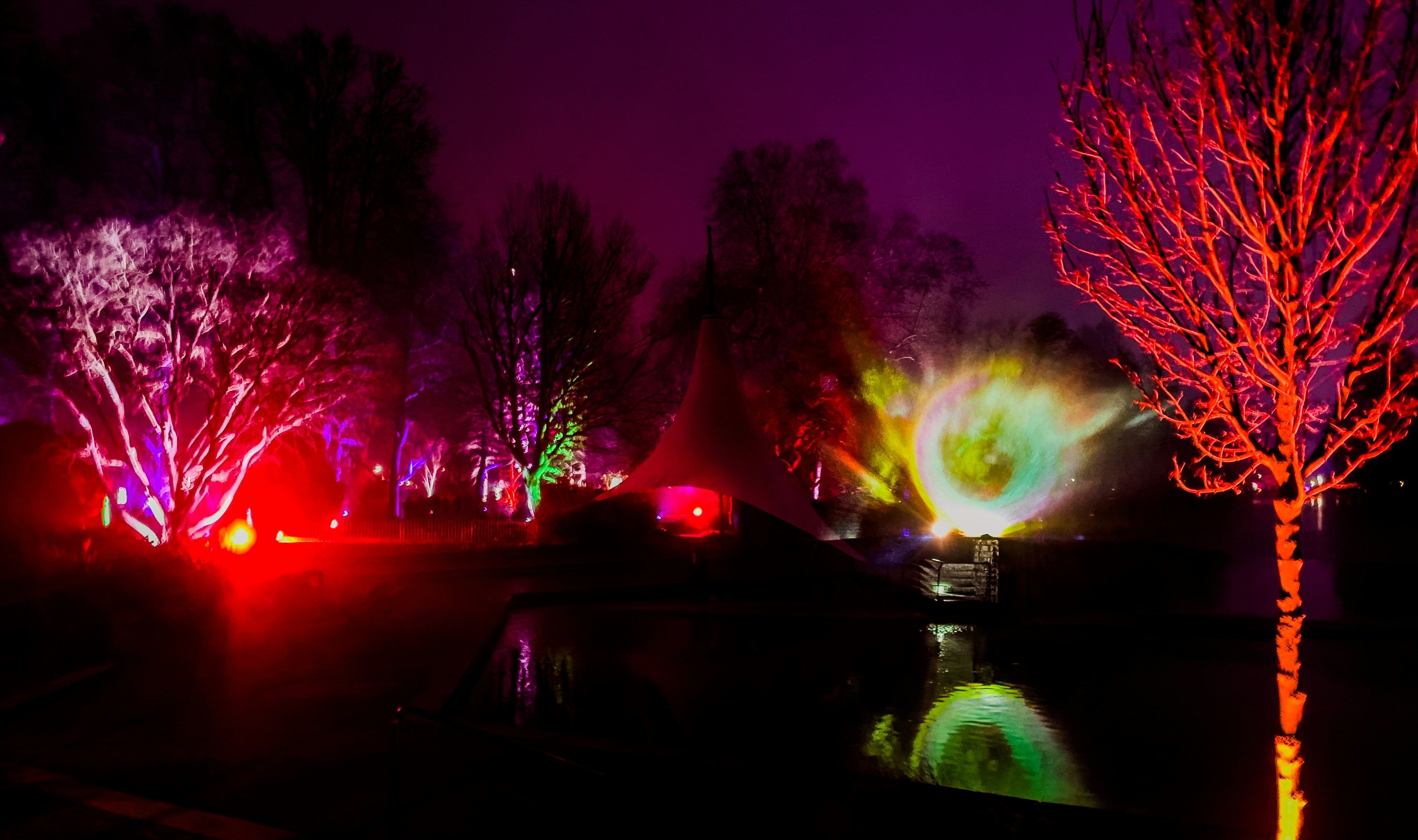 A colorful display of lights in a park at night