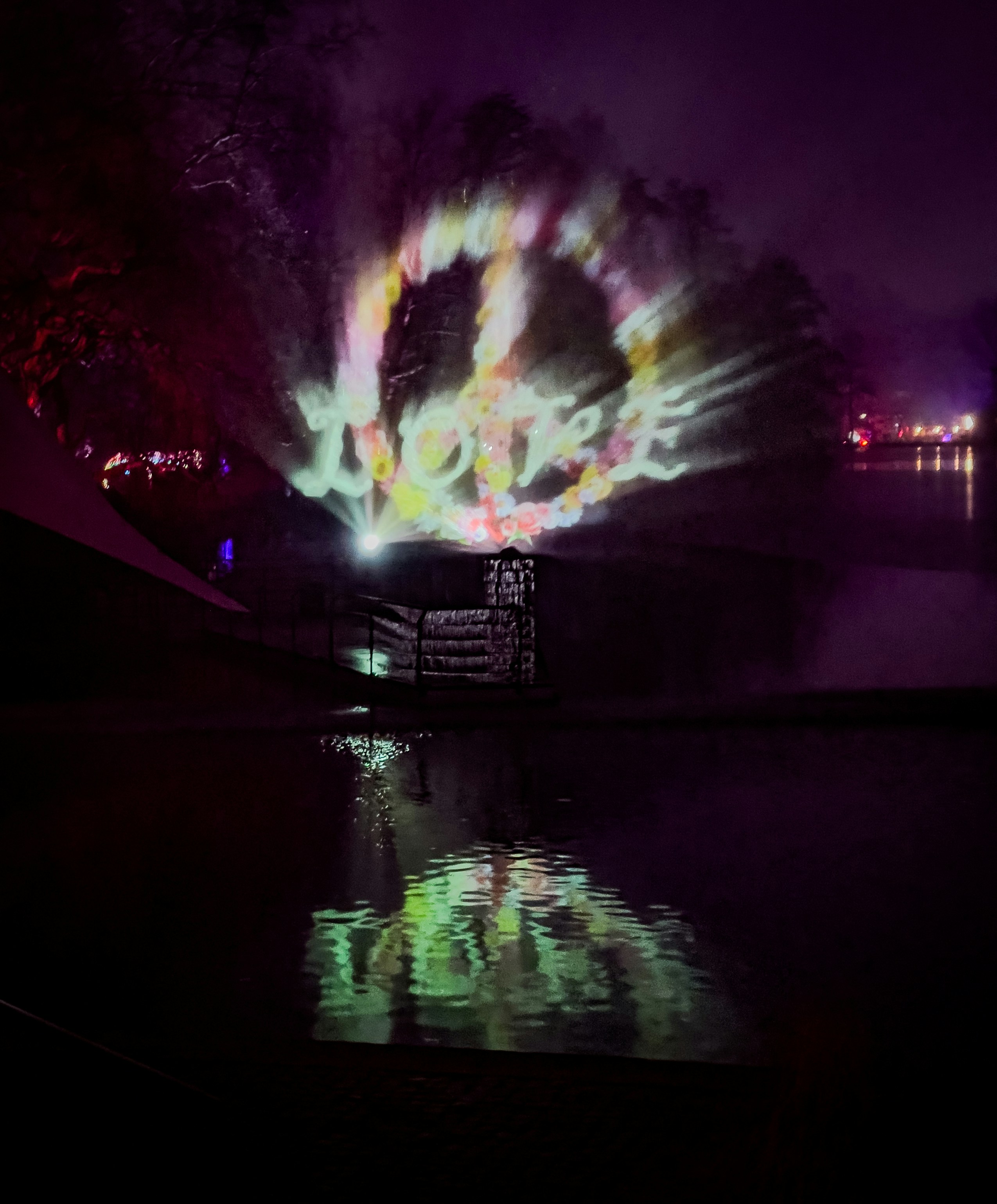 A fireworks display is lit up in the night sky