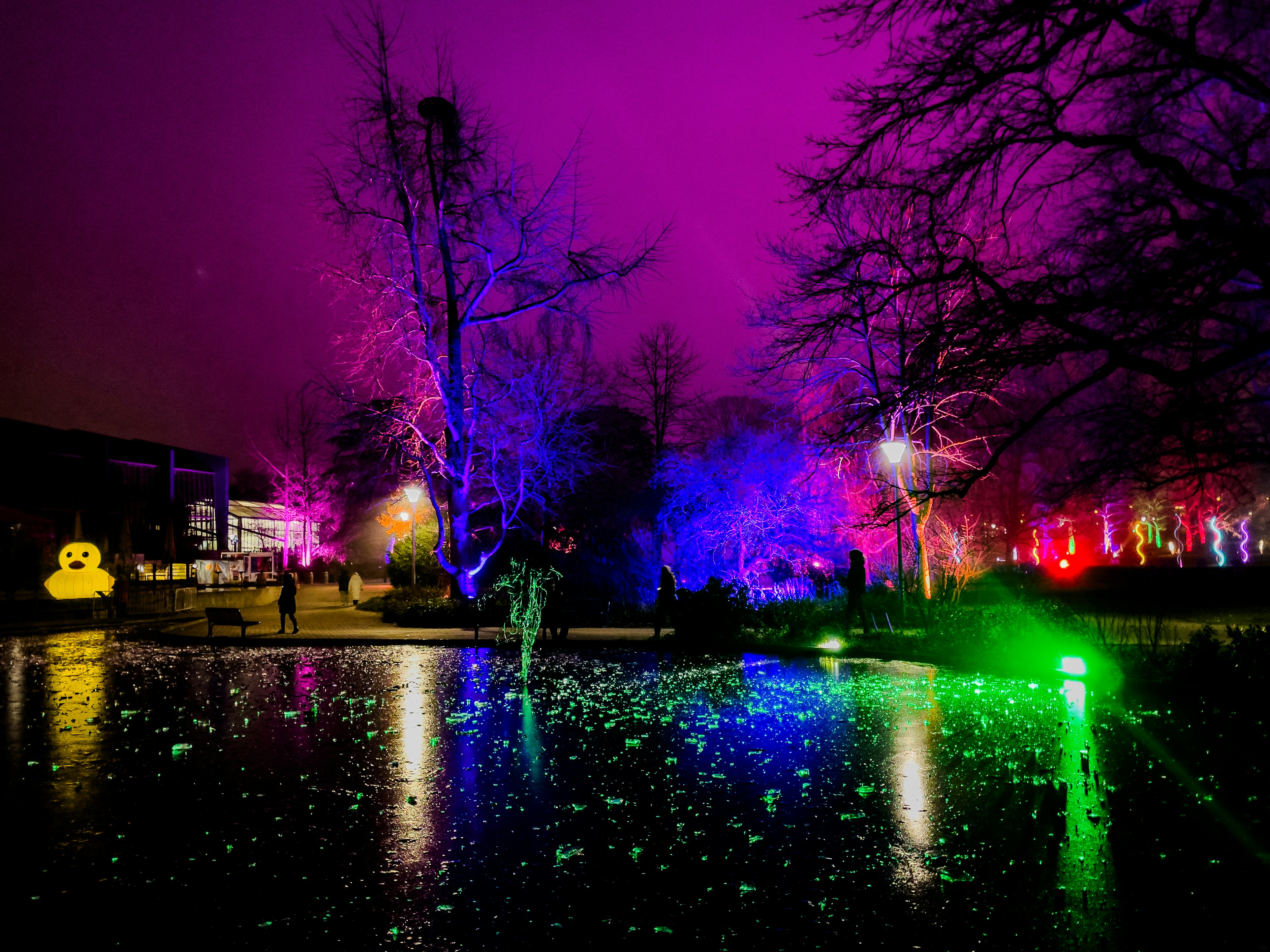 A pond filled with lots of water next to a forest