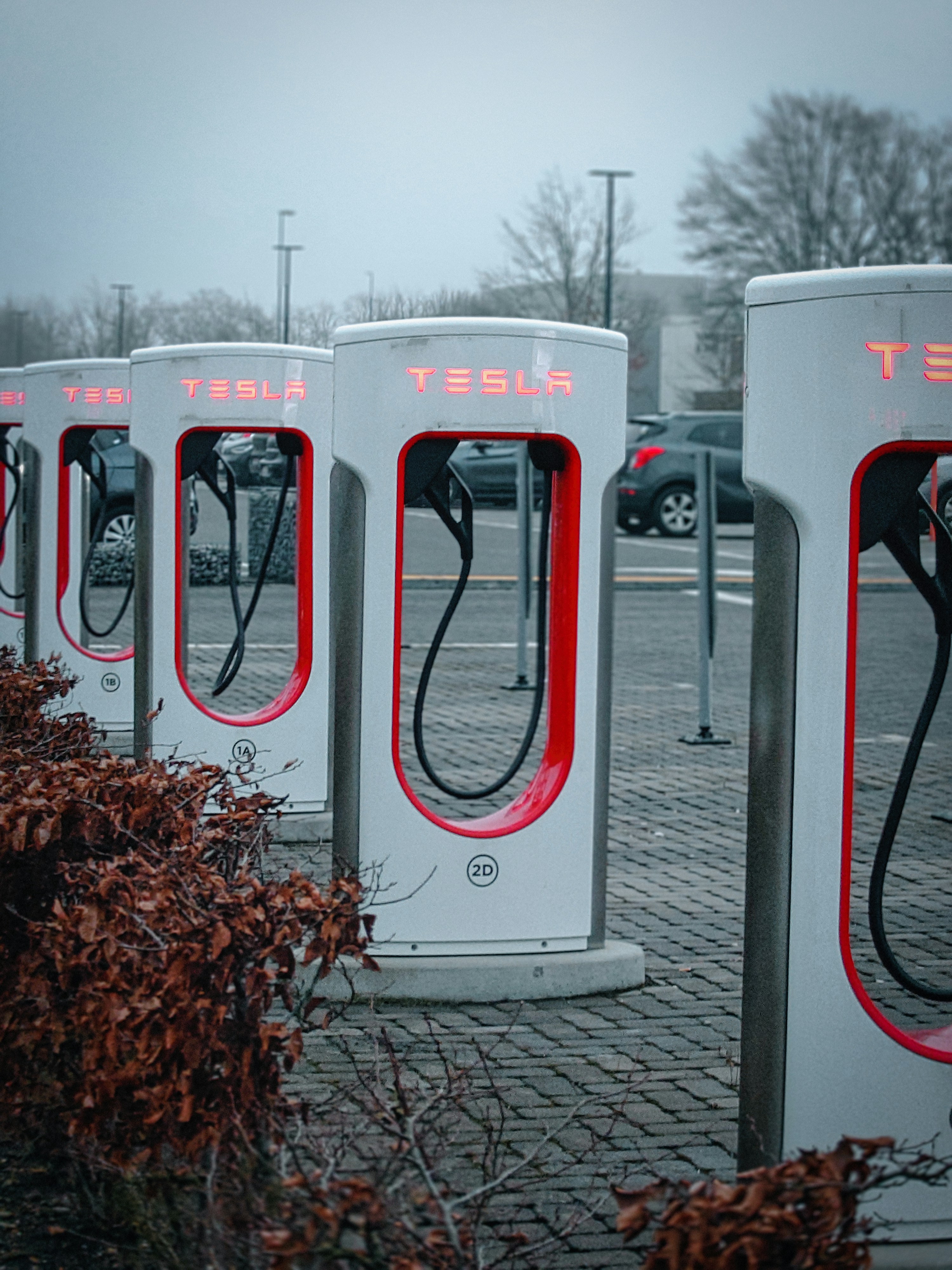 A row of white and red electric cars parked next to each other